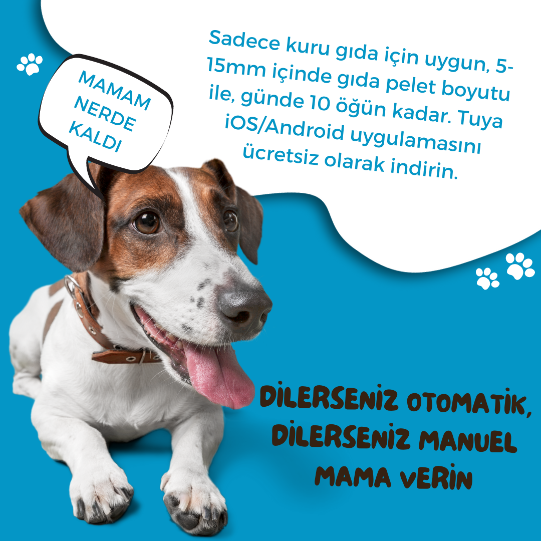 Otomatik Kedi Köpek Besleyici