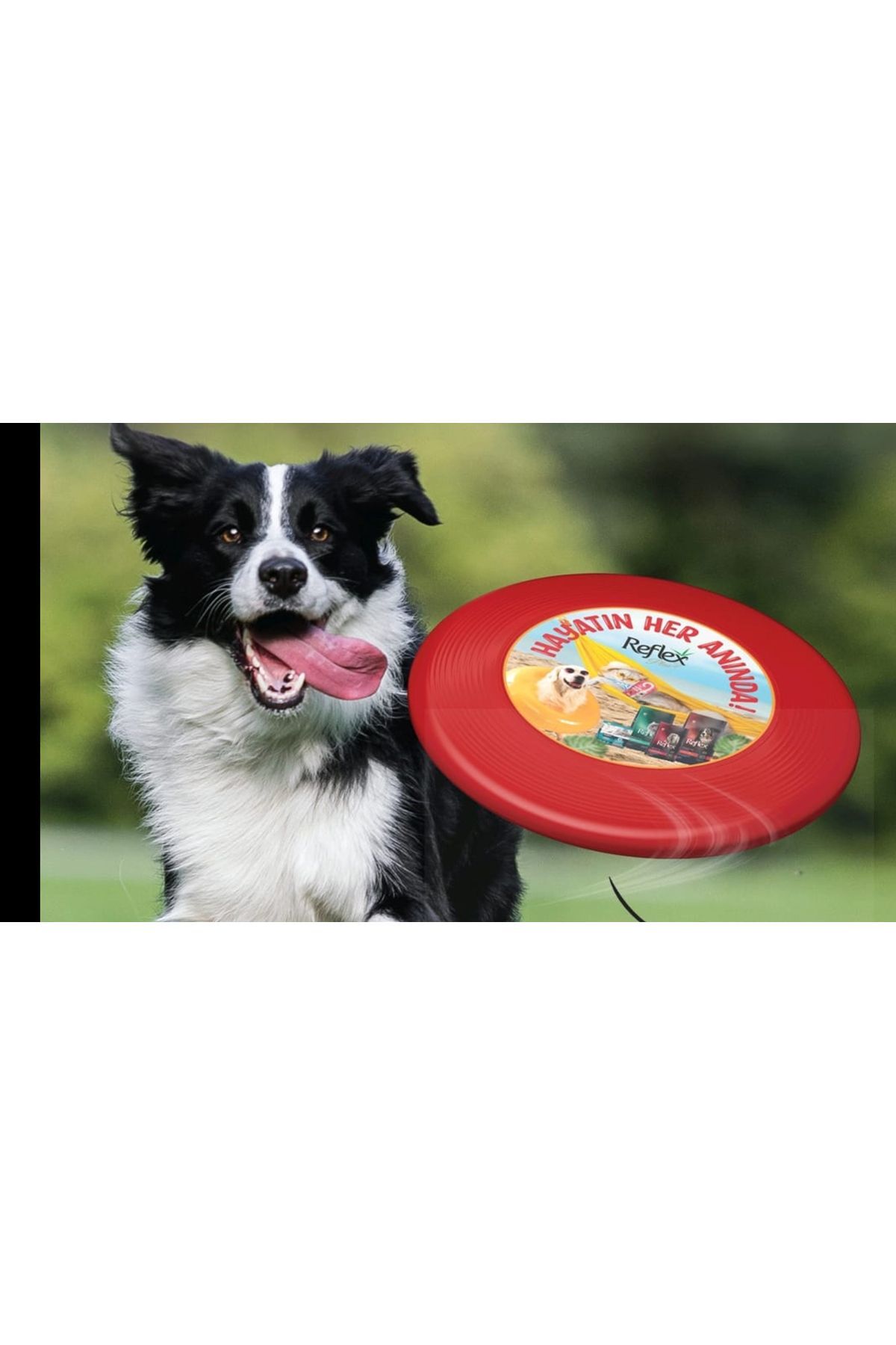 Reflex Frizbi Köpek Oyuncağı