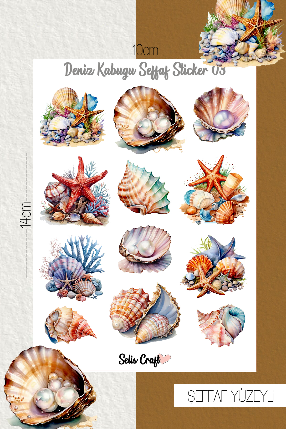 SelisCraft Deniz Kabuğu Temalı Şeffaf Sticker Seti 03 Ajanda Planlayıcı ...