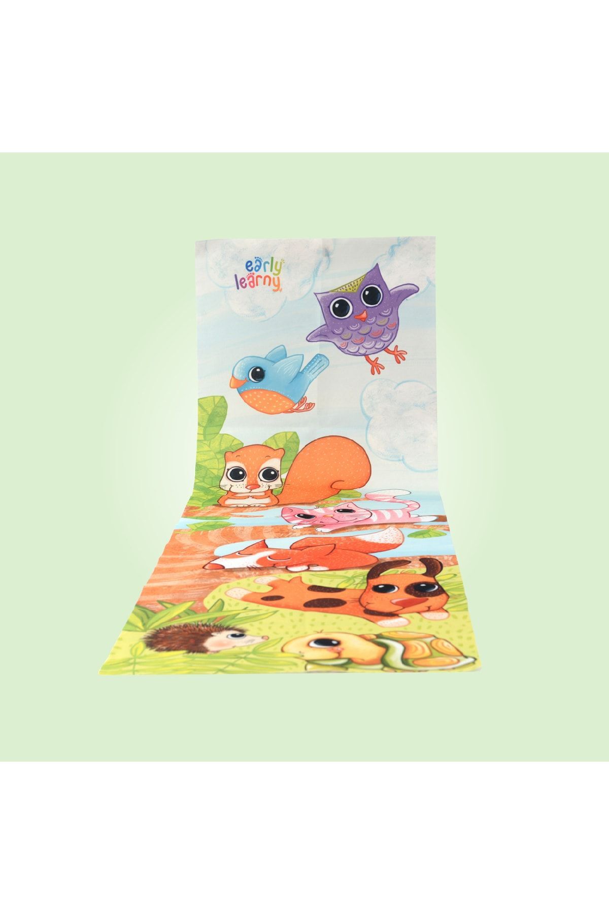 EarlyLearny Ingilizce Bebek Eğitim Seti - 11. Ay fotoğrafı 5 (önizleme)