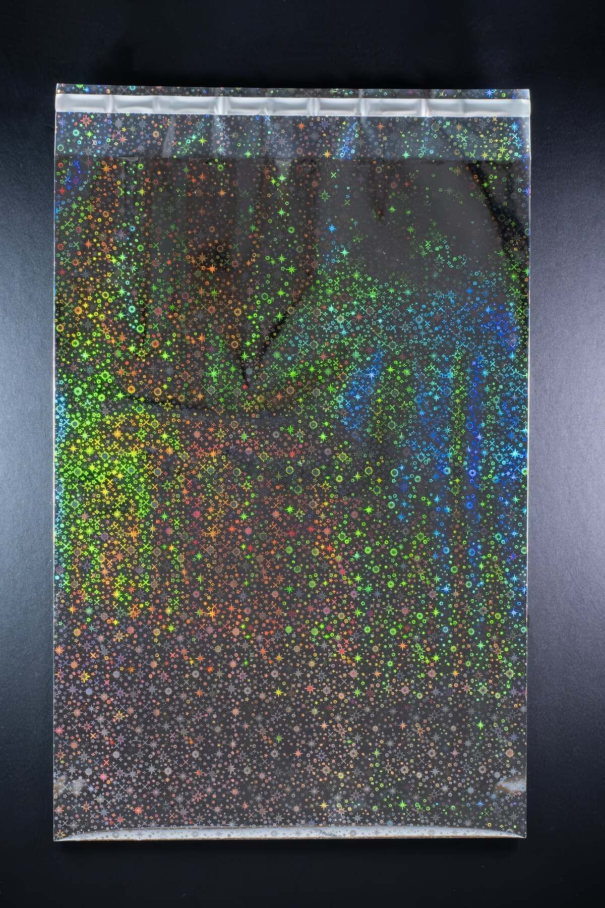 KARGOPEK-Hologram Adhesive Cargo Poset 30*43 (100 PCS) 3