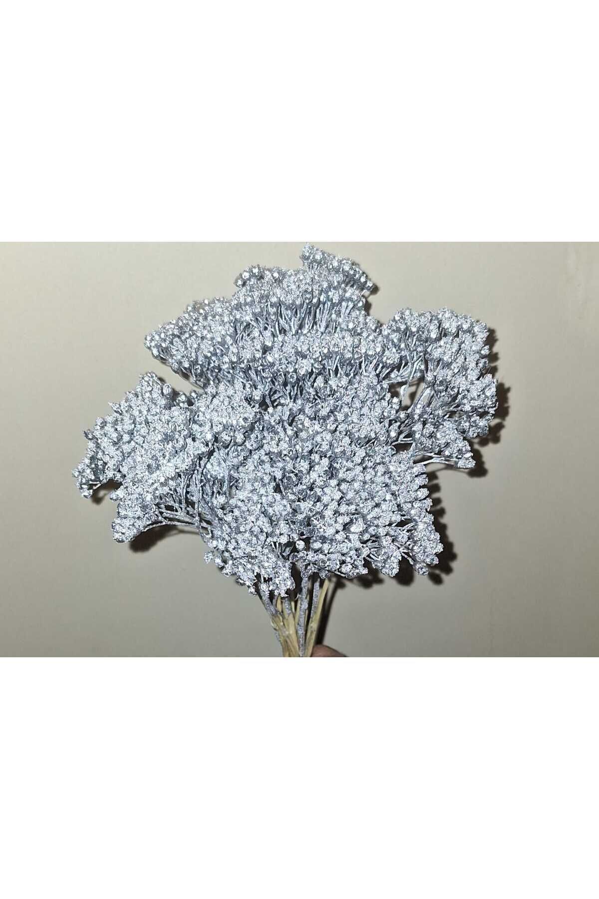 YARROW SILVER COLOR 10 BRANCHES (DRIED FLOWER)