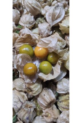 ANAMURMEYVECİM Altın Çilek Yer Kirazı 500 Gr