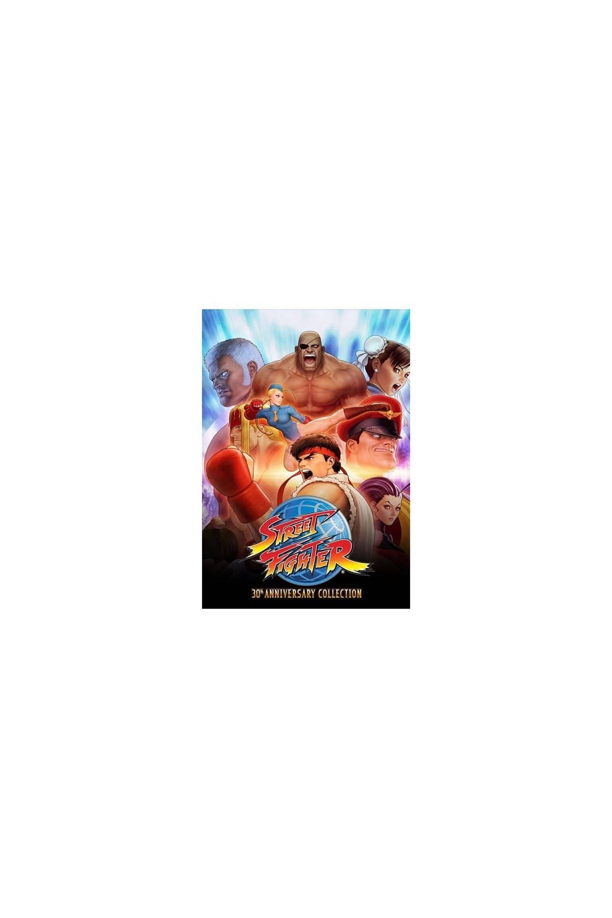 Adobe Street Fighter 30TH Anniversary Collection - Steam Pc Oyun