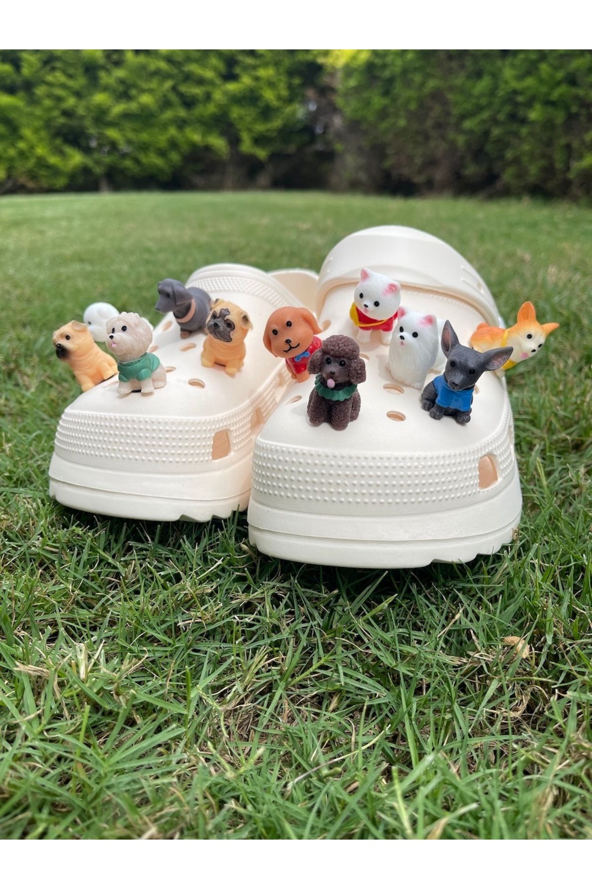 Pug jibbitz new arrivals