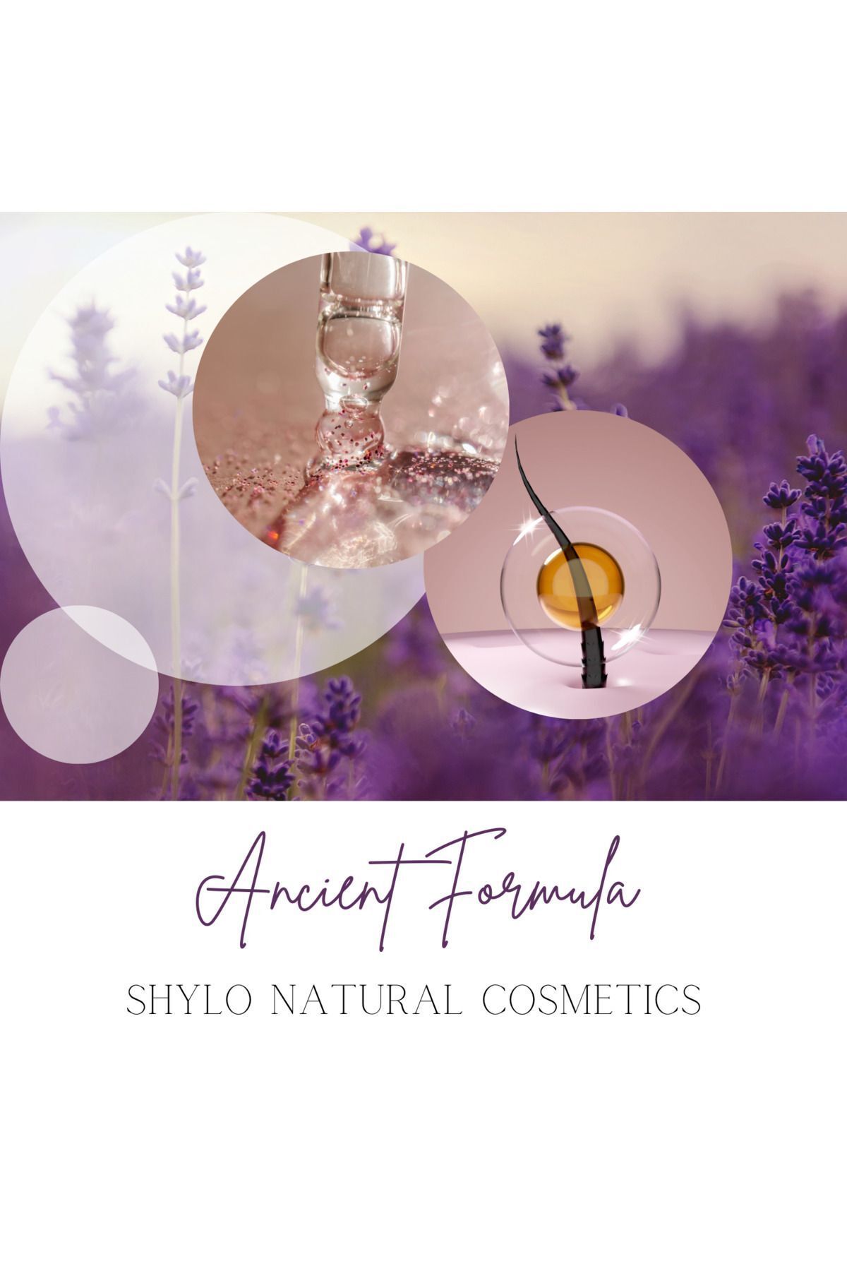 سرم و روغن مو مردانه زنانه معجزه شیلو اسطوخودوس معطر زیبایی طبیعی 50 میل Shylo Natural Cosmetics