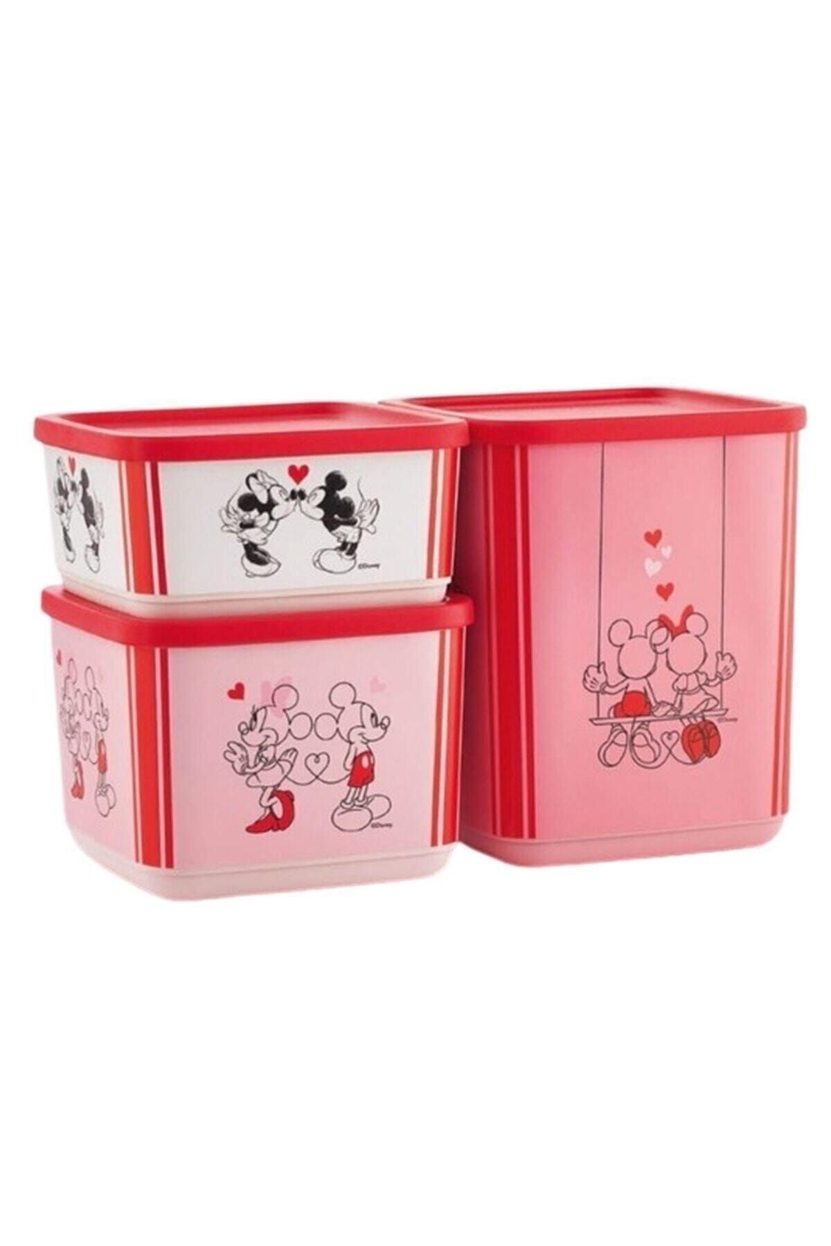 Tupperware Minnie Ve Mickey Temalı Kübik 3'lü Saklama Seti