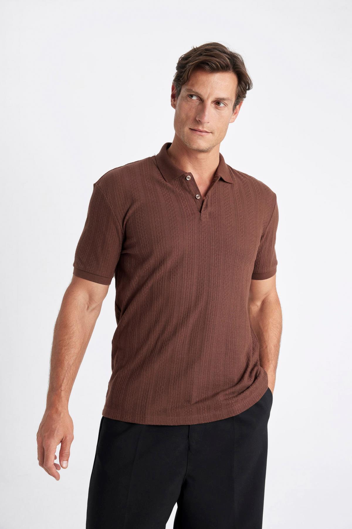 پولوشرت مردانه دفاکتو | C4140AX24SM Defacto - Image 3