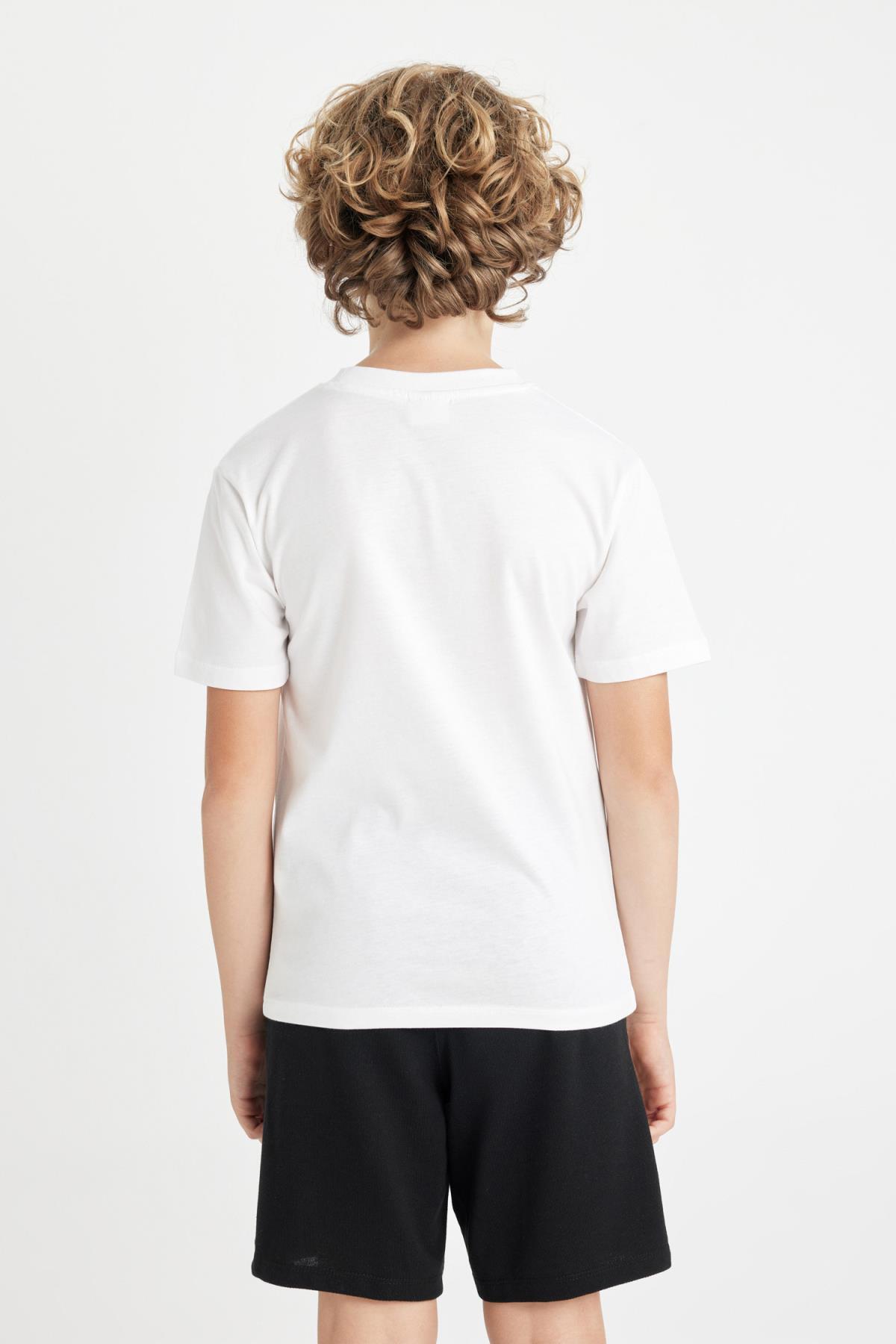 تی شرت پسرانه دفاکتو | C6499A824HS Defacto - Image 6