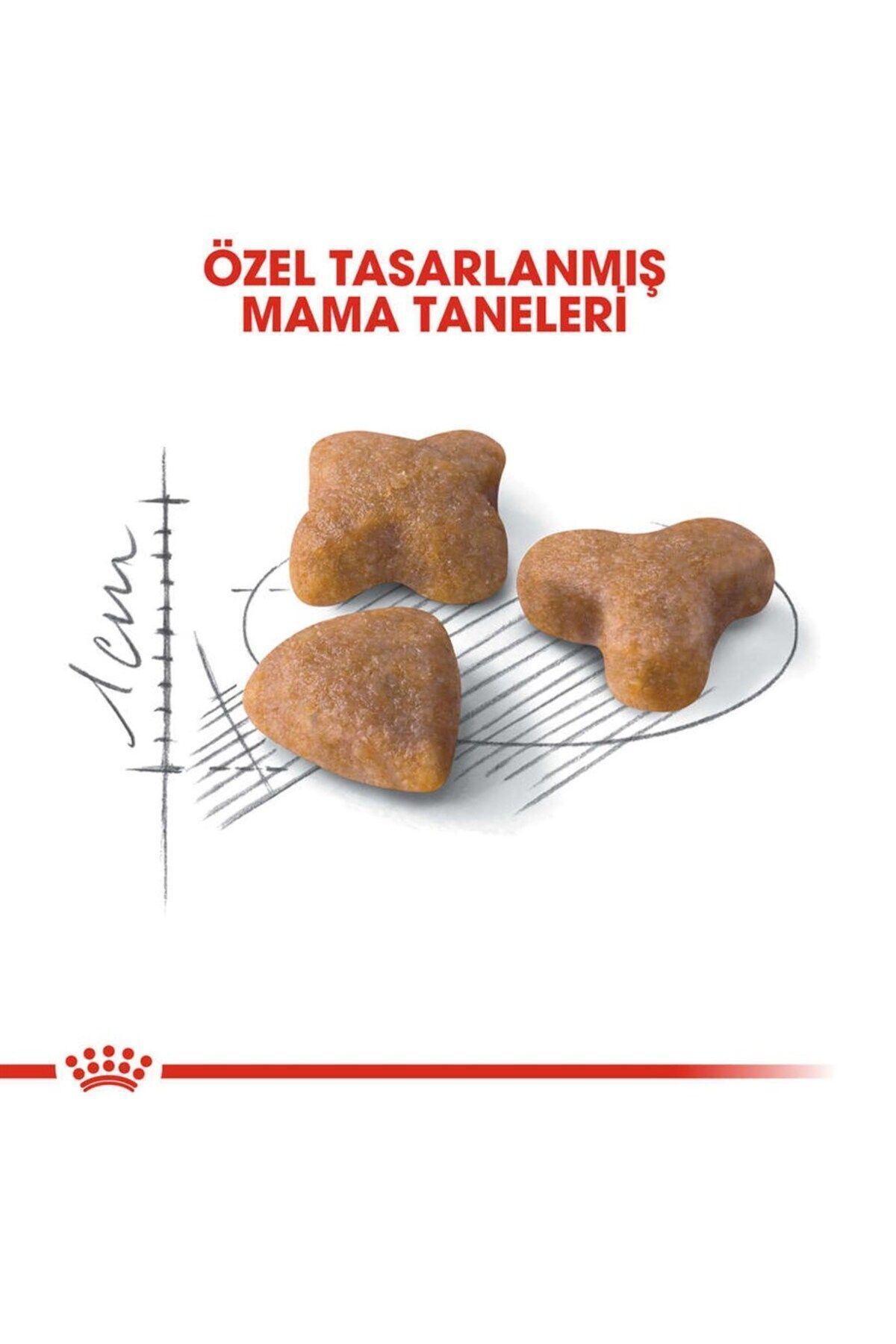 Royal Canın Sensible 33 Kuru Kedi Maması 2 Kg