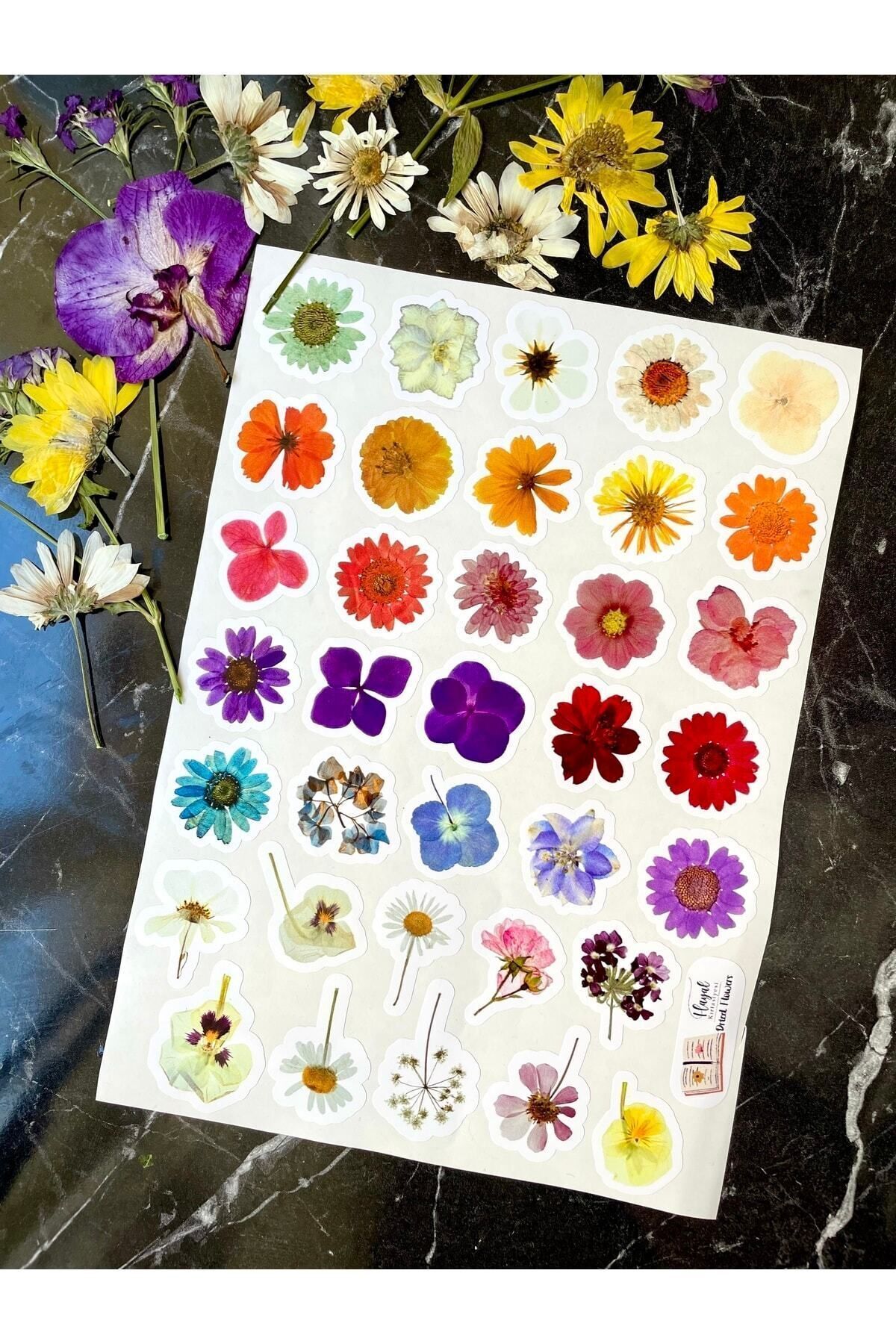 Hayal.kirtasiyesi Gerçek Çiçek Görünümlü Sticker 35 Adet 3-5 Cm Arası ...