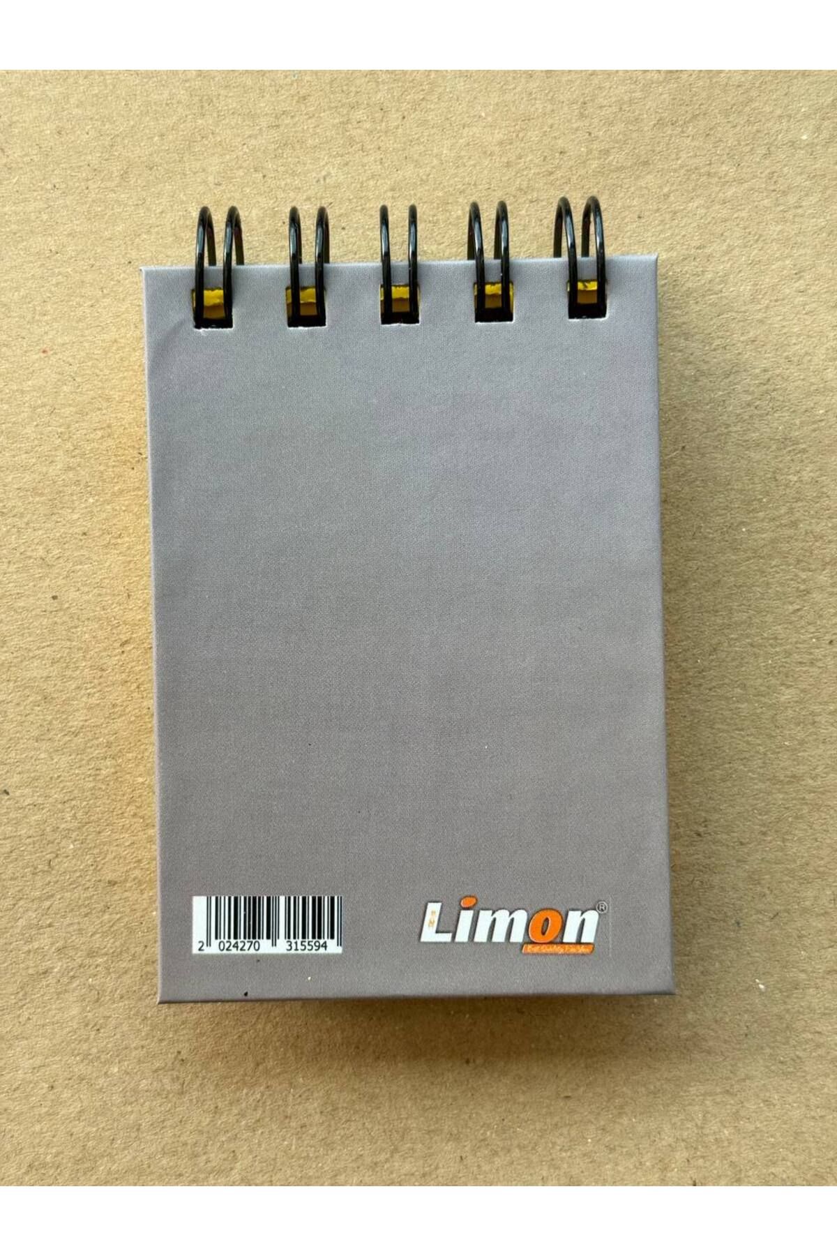 LİMON DEFTER-Lemon Notebook Mini Hard Cover Color Page Spiral Notepad 2