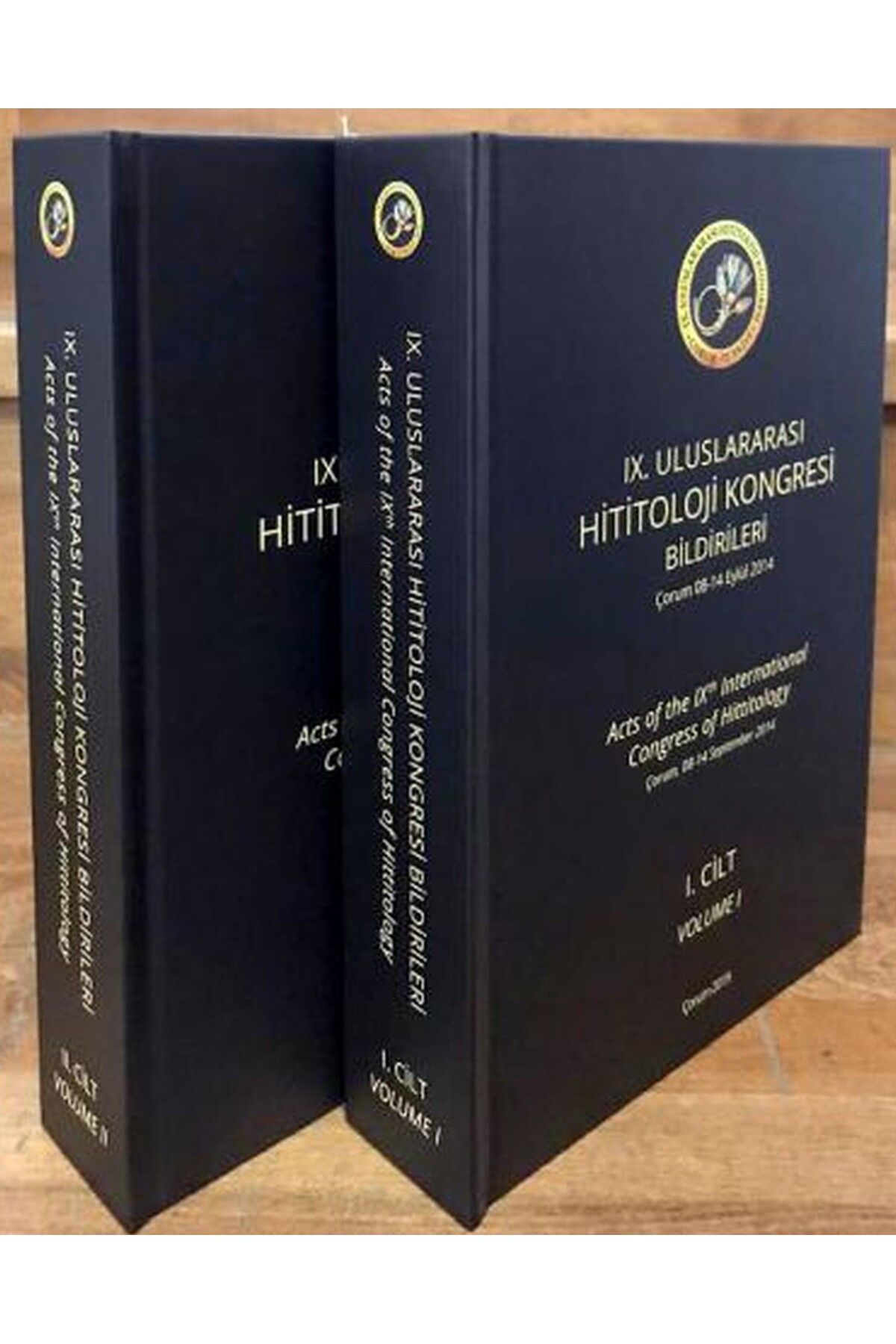 Literatürk Academia IX. ULUSLARARASI HİTİTOLOJİ KONGRESİ BİLDİRİLERİ 2 CİLT TAKIM