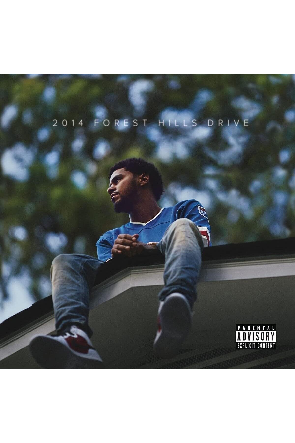 Genel Markalar PLAK - J. Cole / 2014 Forest Hills Drive (2LP