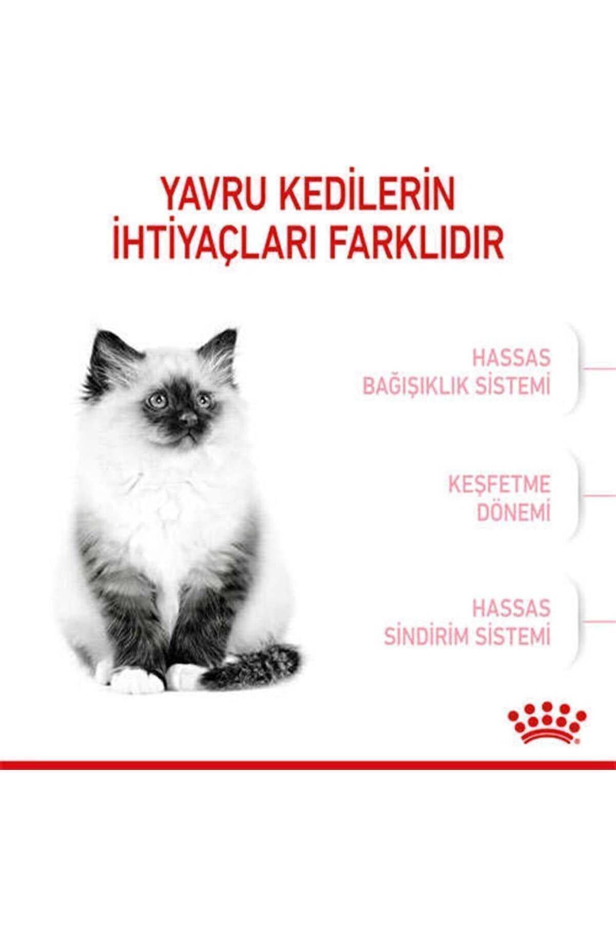 Royal Canın Kitten Yavru Kuru Kedi Maması 2 Kg