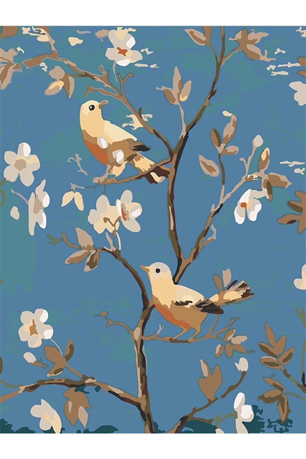 wombhobby Kuslar 2 Sayılarla Boyama Seti 40x 50 Cm (TUVALE GERİLİ