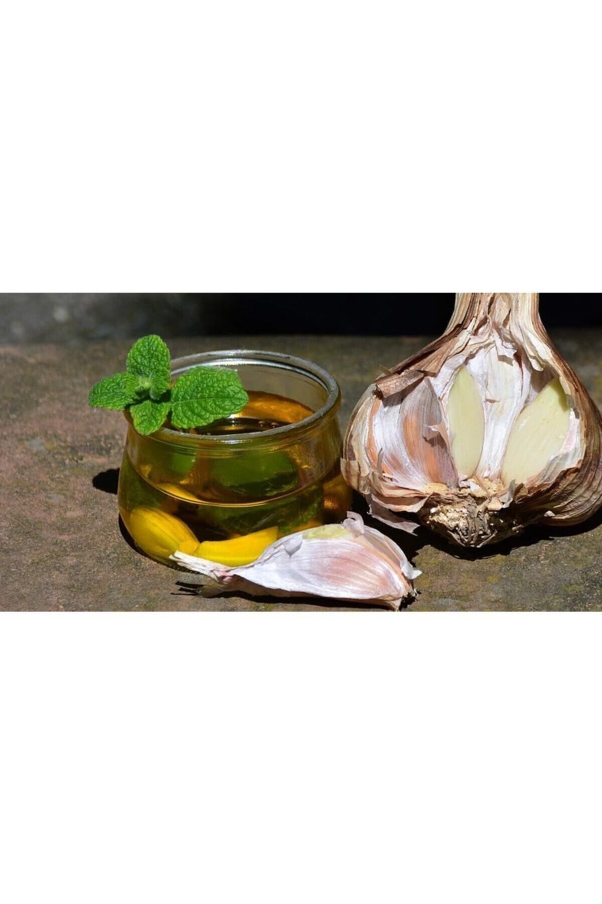 Orika Sarımsak Yağı 20 Ml