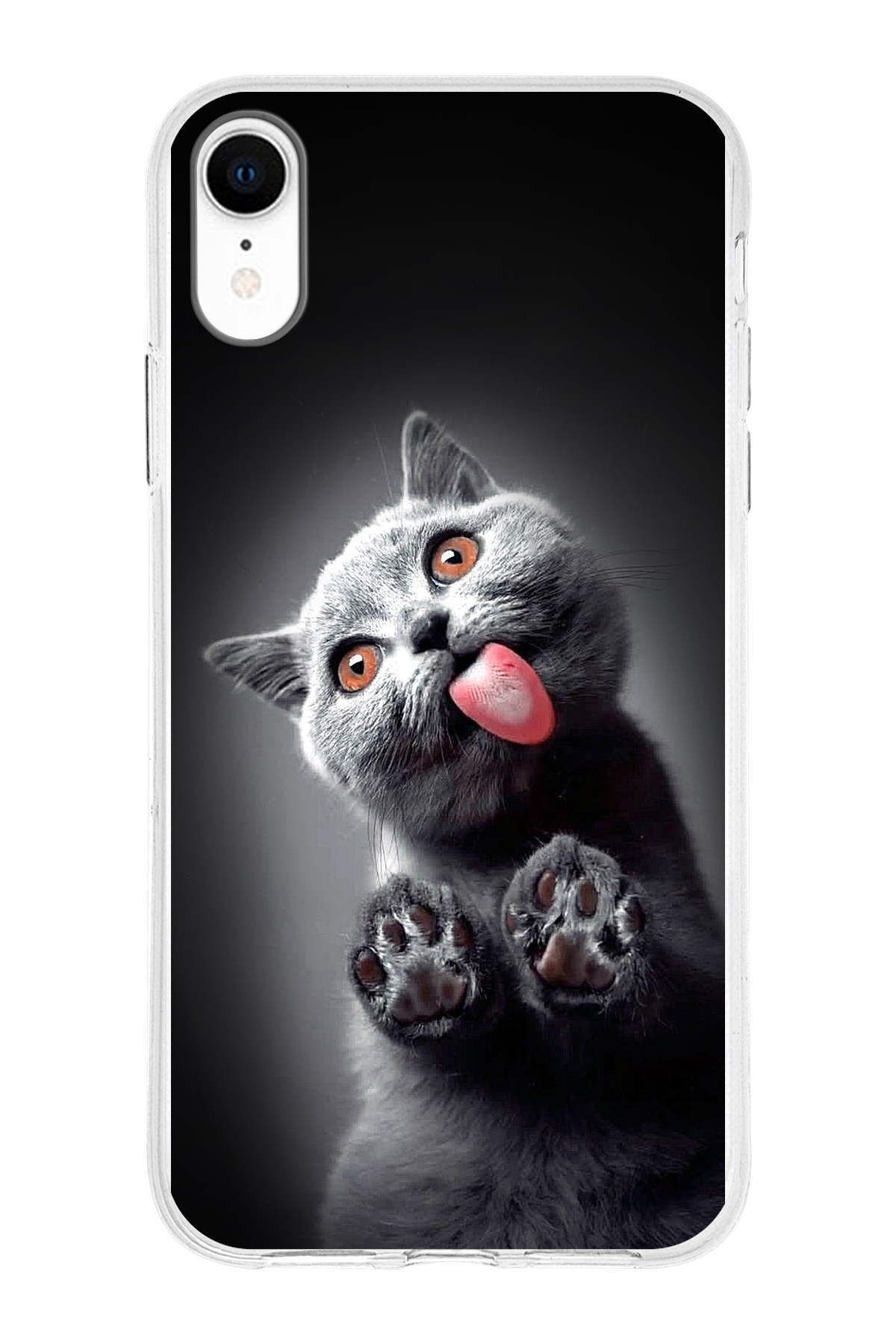 PrintiFy Apple iPhone XR ile Uyumlu 1mm Slim Fit Kedi 2 050c Baskılı Şeffaf Kılıf