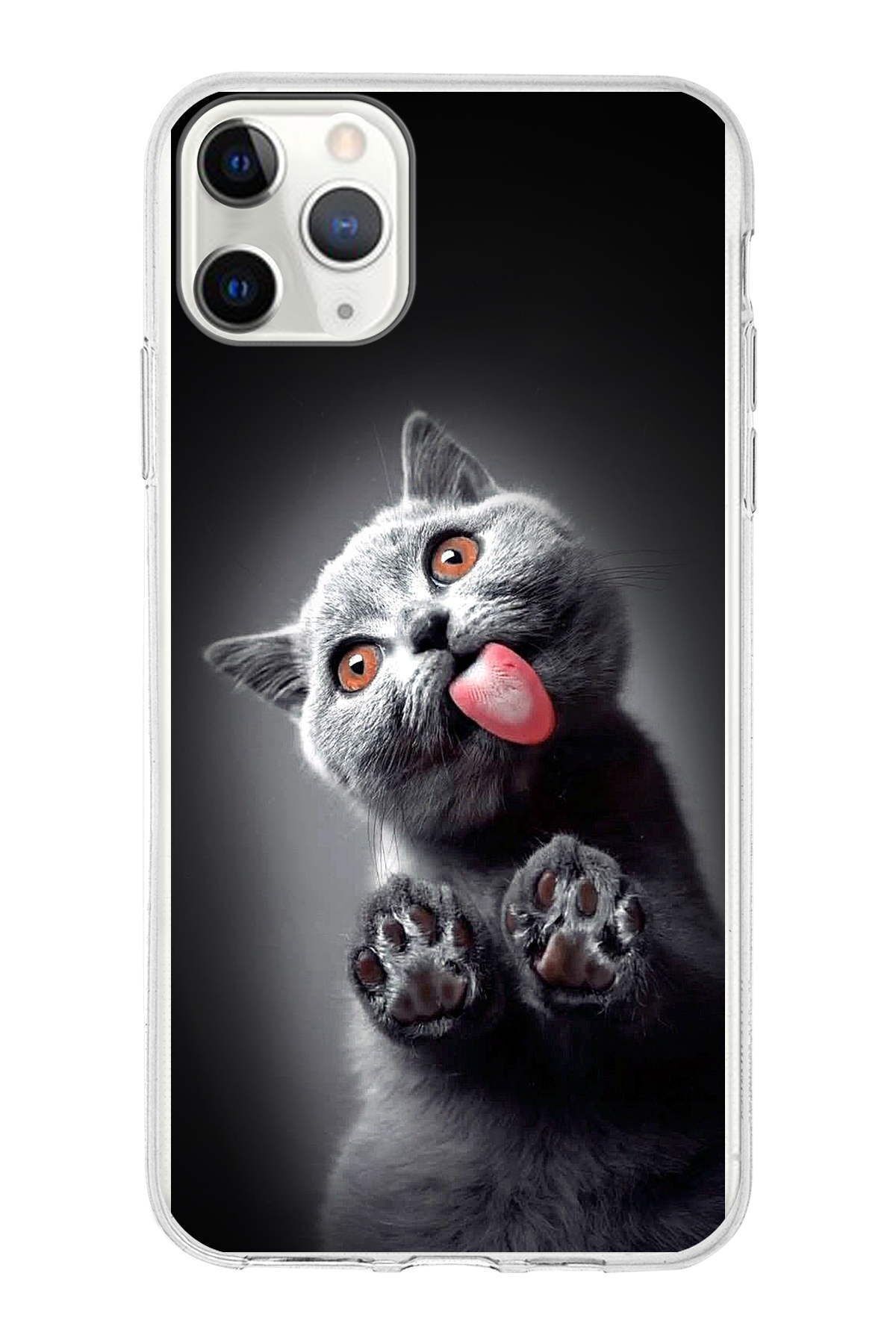PrintiFy Apple iPhone 11 Pro ile Uyumlu 1mm Slim Fit Kedi 2 050c Baskılı Şeffaf Kılıf