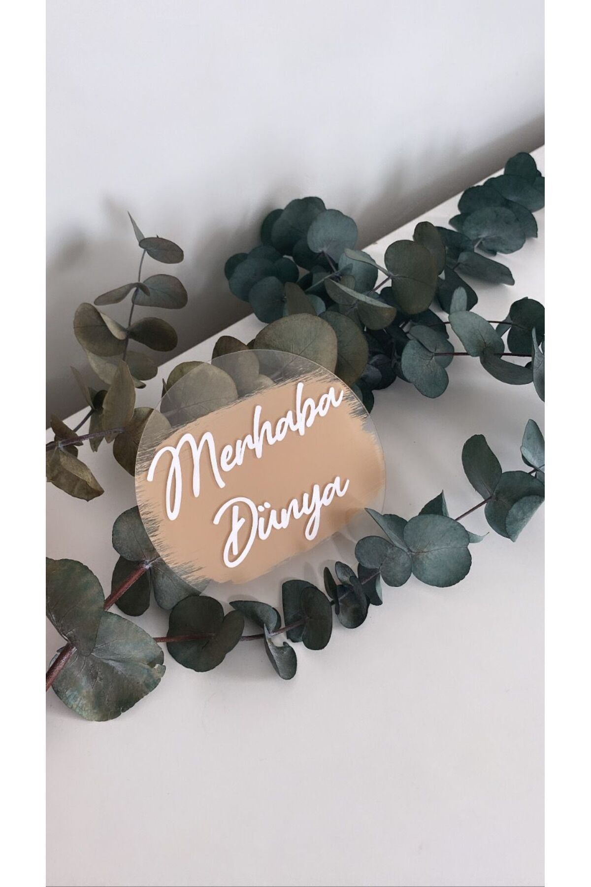 Memory Discs, 1 Piece, Photo Props, Round Plexi Disc, Newborn Props, Milestone Disc