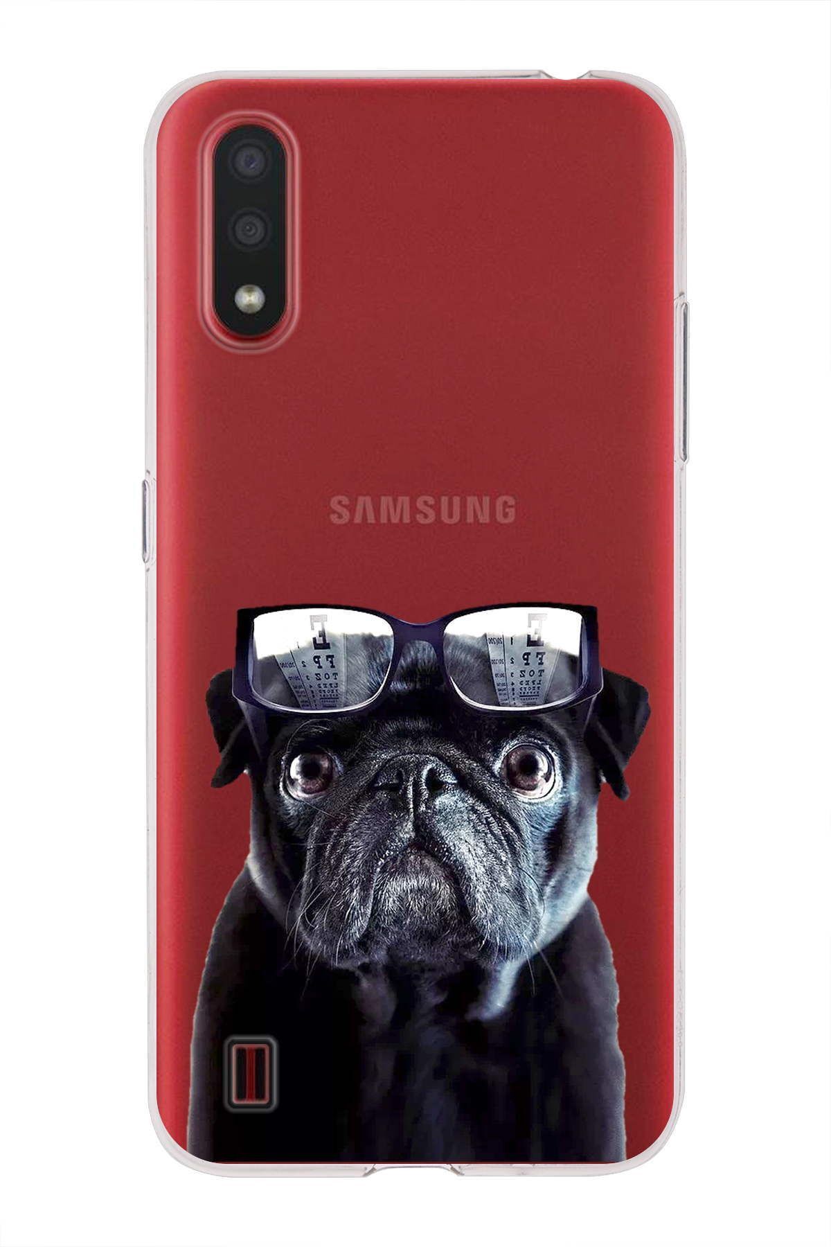 Samsung Galaxy A01 ile Uyumlu 1mm Slim Fit Köpek 3 050f Baskılı Şeffaf Kılıf