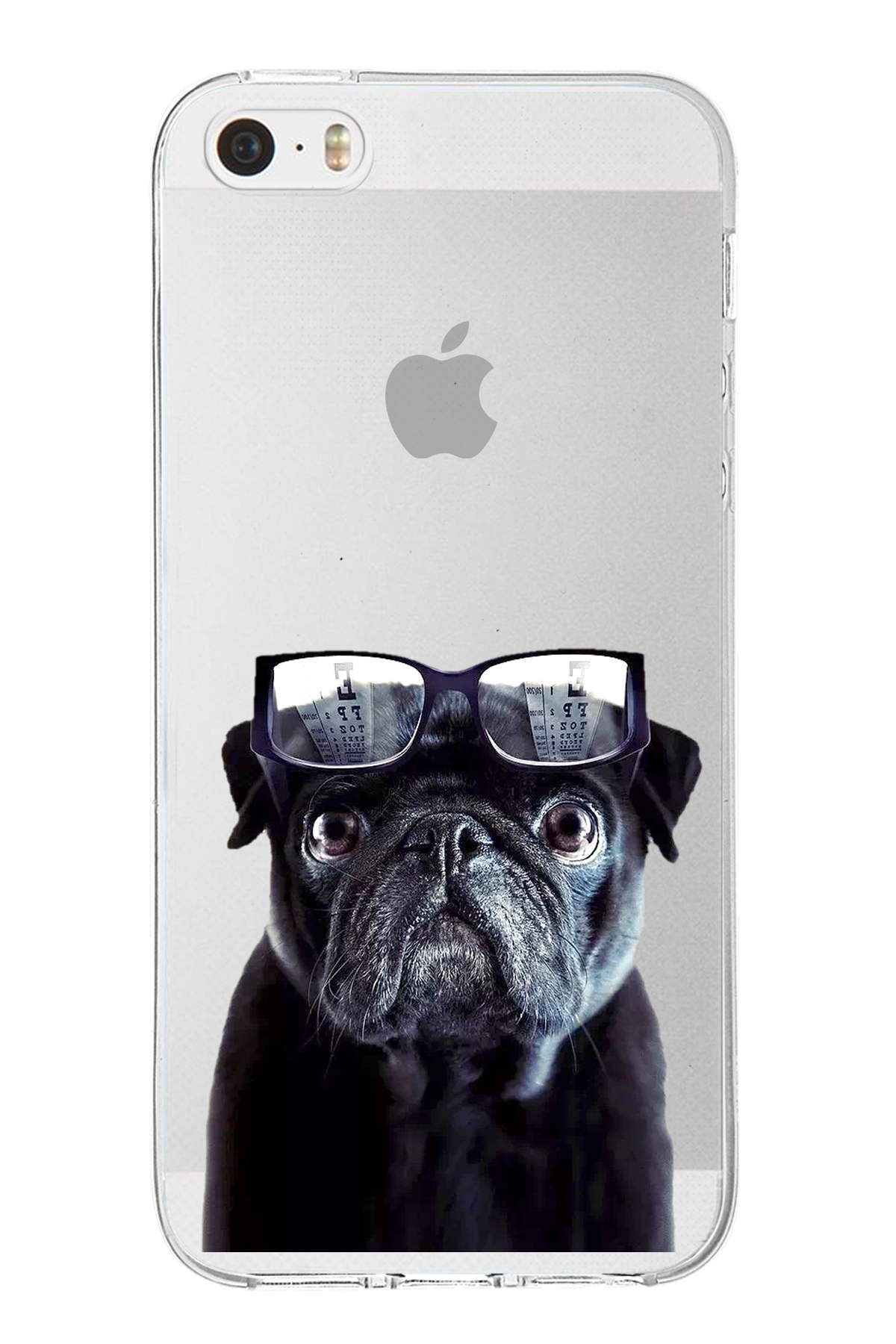 PrintiFy Apple iPhone 5 ile Uyumlu 1mm Slim Fit Köpek 3 050f Baskılı Şeffaf Kılıf