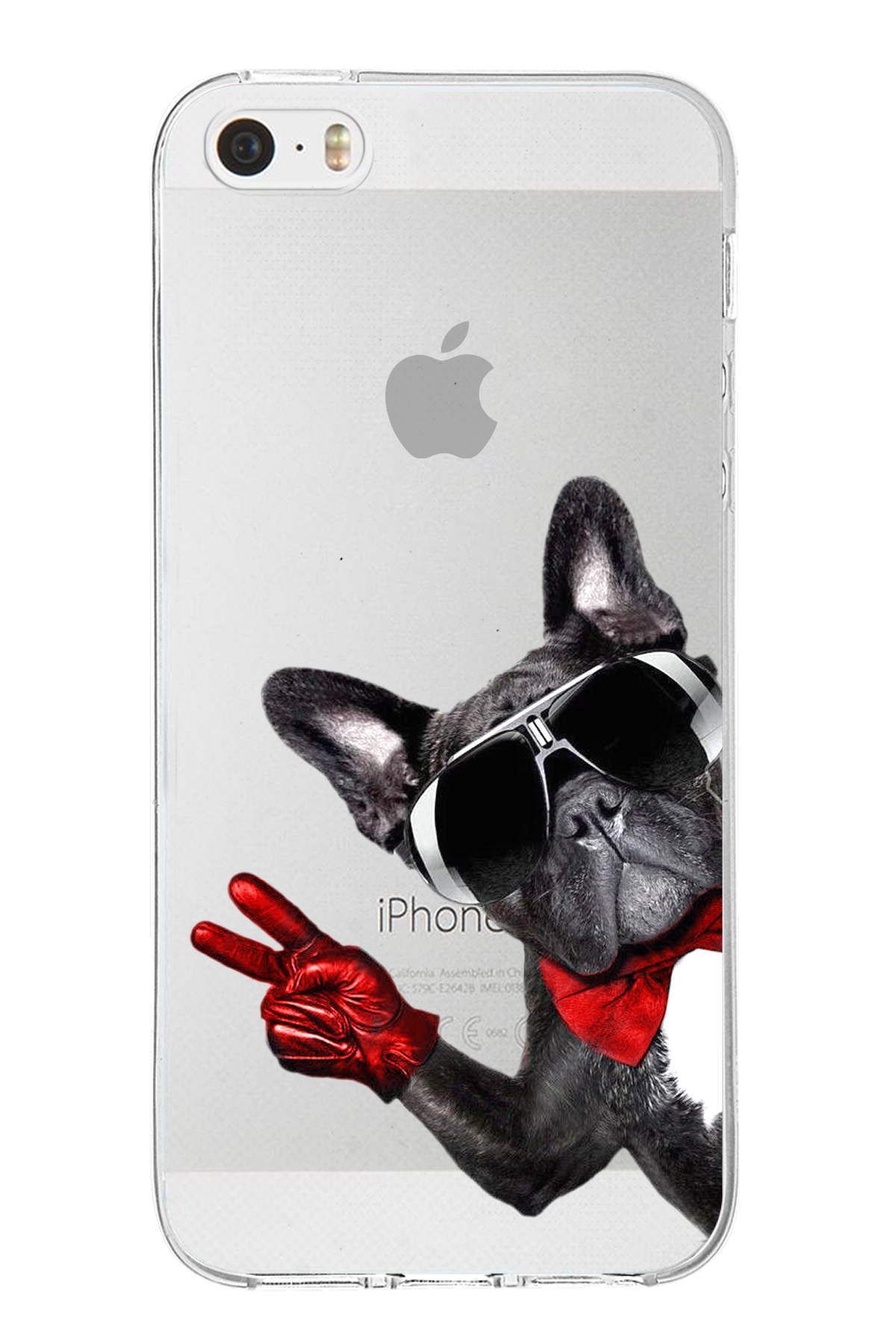 PrintiFy Apple iPhone 5 ile Uyumlu 1mm Slim Fit Köpek 2 050e Baskılı Şeffaf Kılıf