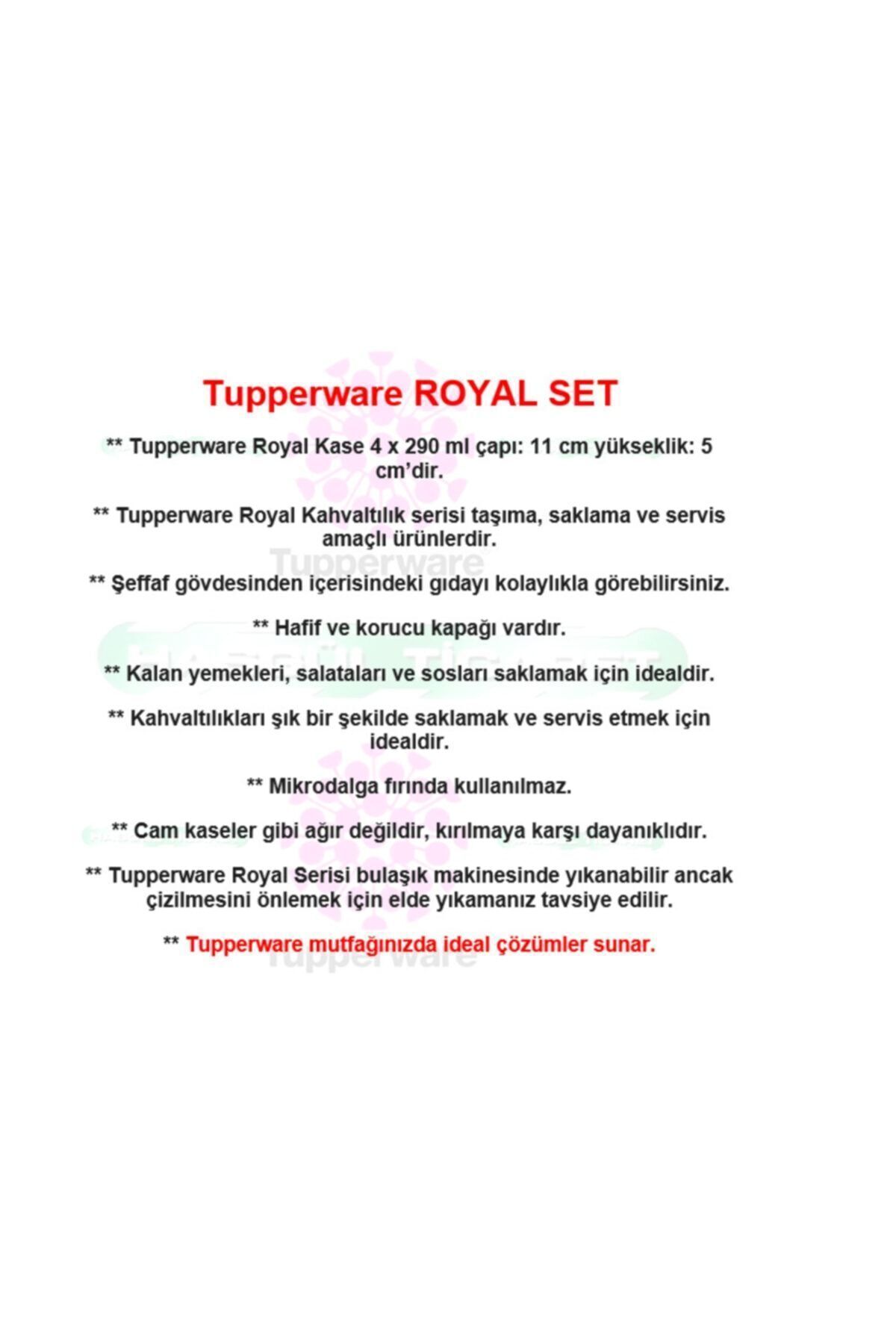 Tupperware-290 Ml Breakfast Storage Container Set 3