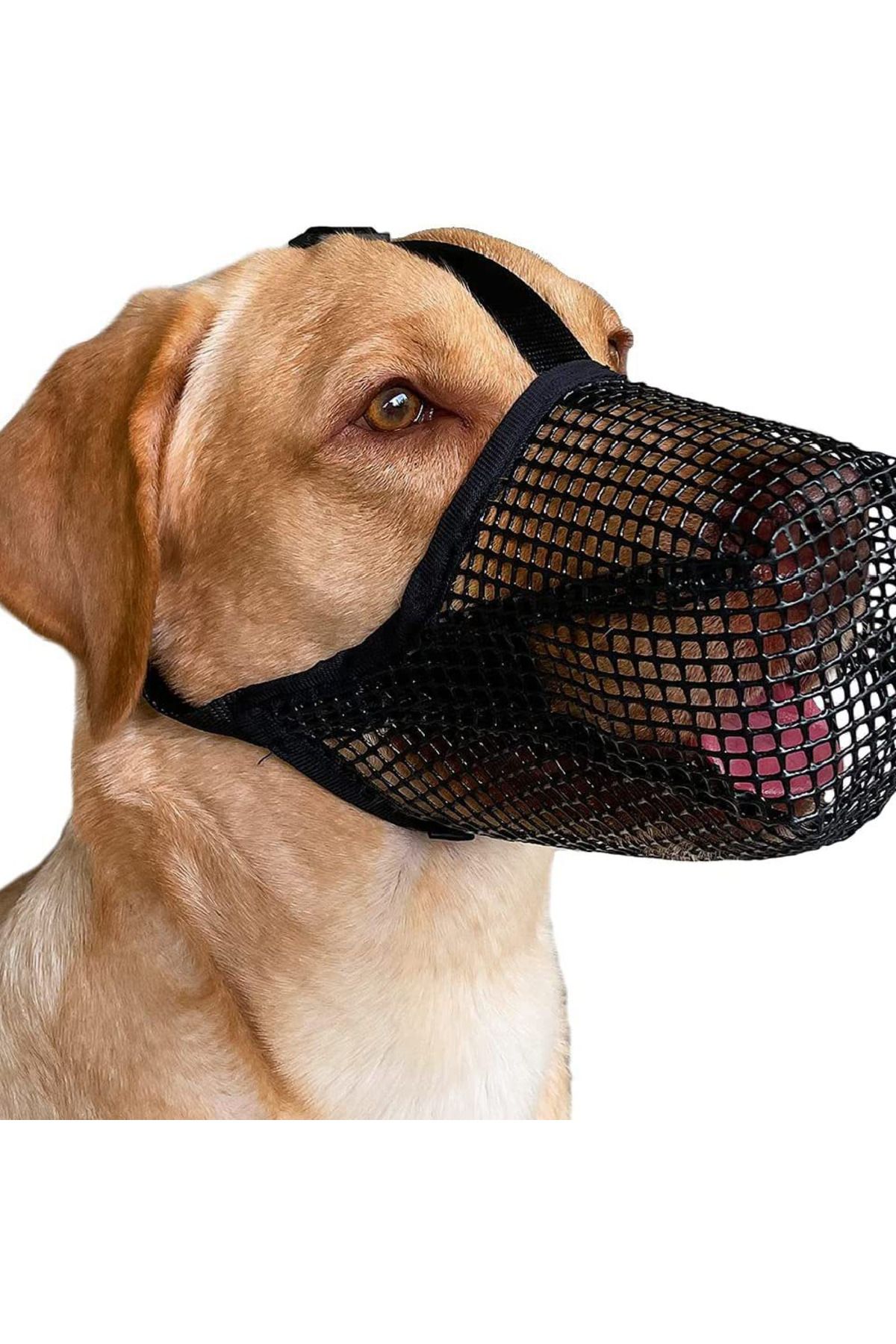 Choice-Pet Dog Muzzles Adjustable Breathable Dog Mouth Cover Anti Bark Bite Mesh Dogs Mouth Muzzle Mask ... 8