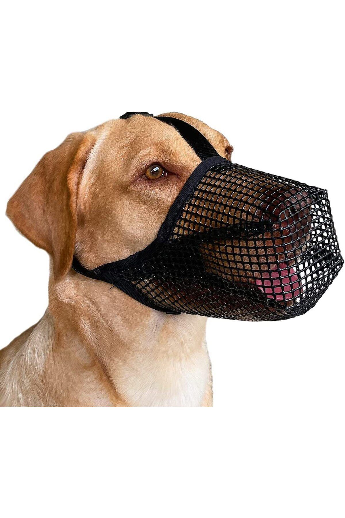 Choice-Pet Dog Muzzles Adjustable Breathable Dog Mouth Cover Anti Bark Bite Mesh Dogs Mouth Muzzle Mask ... 2