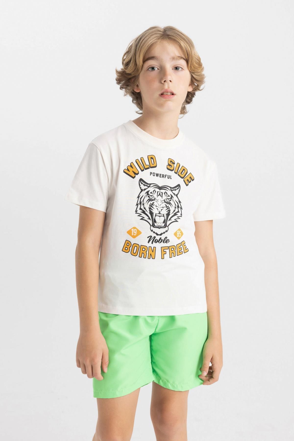 تی شرت پسرانه دفاکتو | C6257A824HS Defacto - Image 3