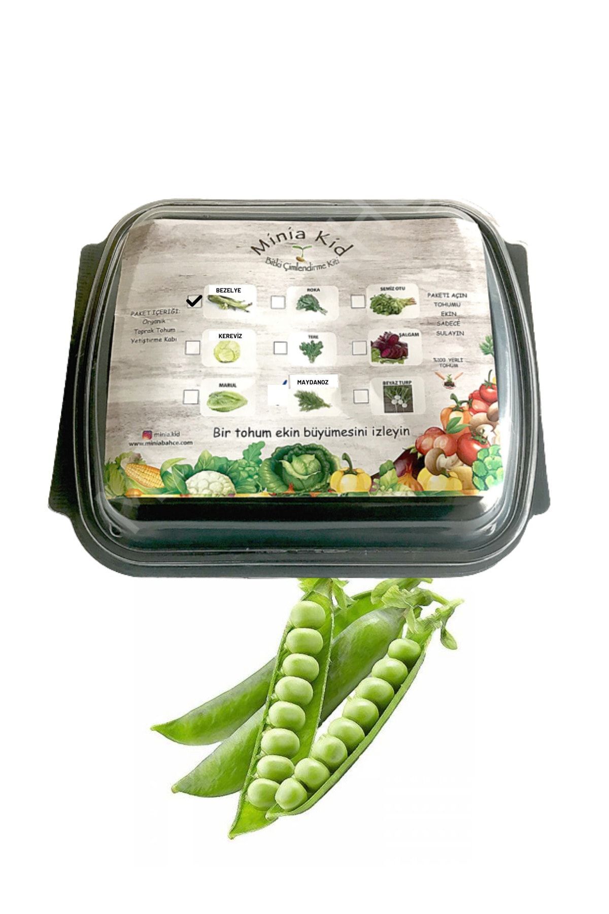 Pea Germination Kit