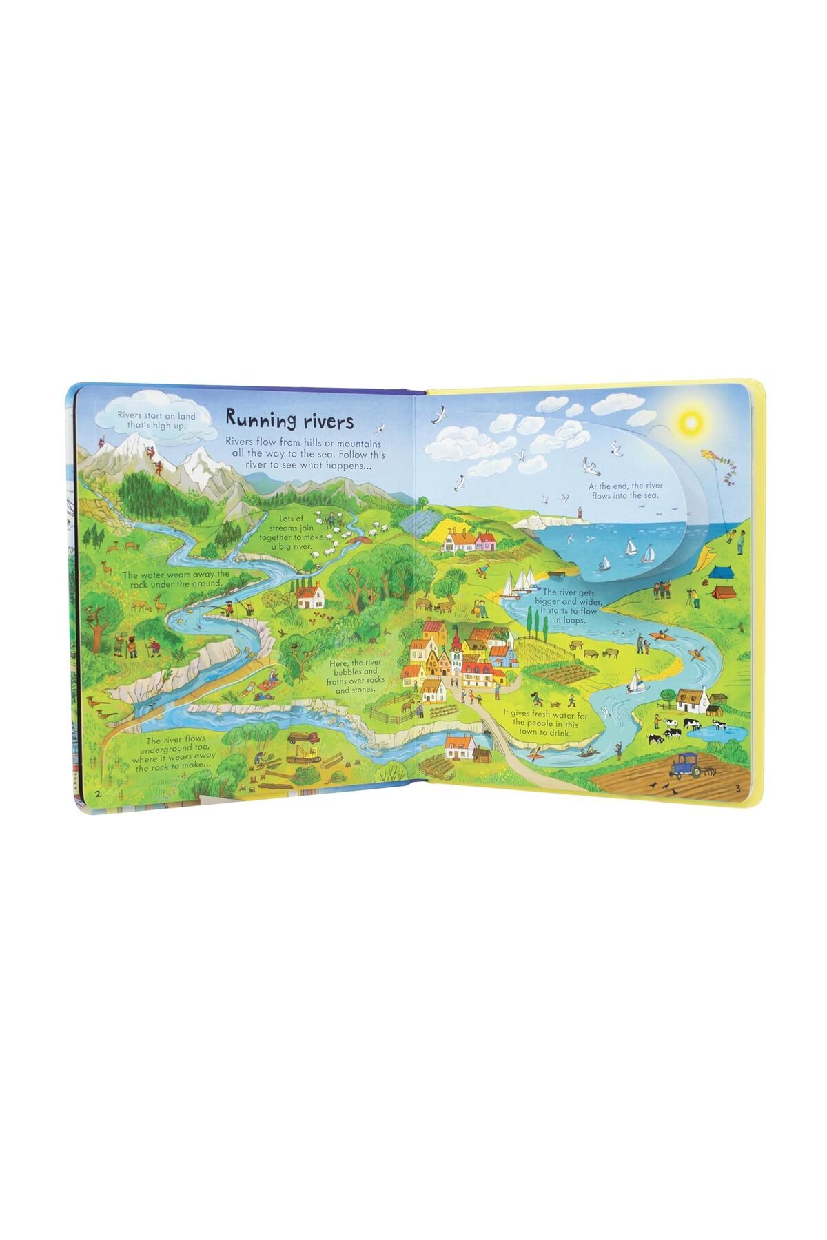 Penguin Books-Emily Bone - Neat Cut Look Inside Our World 5