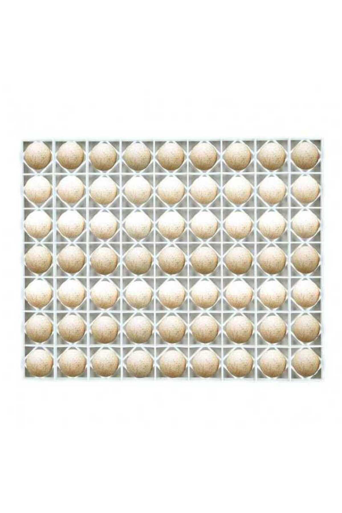 Cimuka HİNDİ/ ÖRDEK KULUÇKA GELİŞİM TABLASI(40x5x50)63Hindi veya Ördek yumurtası