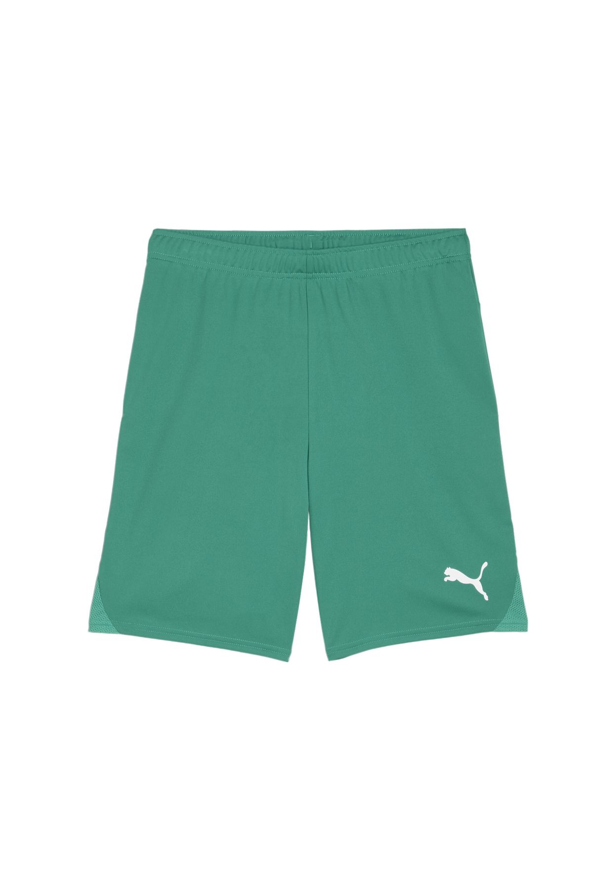 شورت Teamgoal شورت تمرینی فوتبال مردانه 70575205 سبز Puma