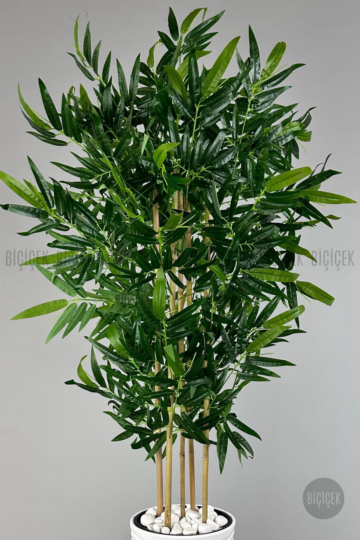 BİÇİÇEK Yapay Bambu Ağacı 185cm Büyük Yapraklı 5 Bambulu Beyaz