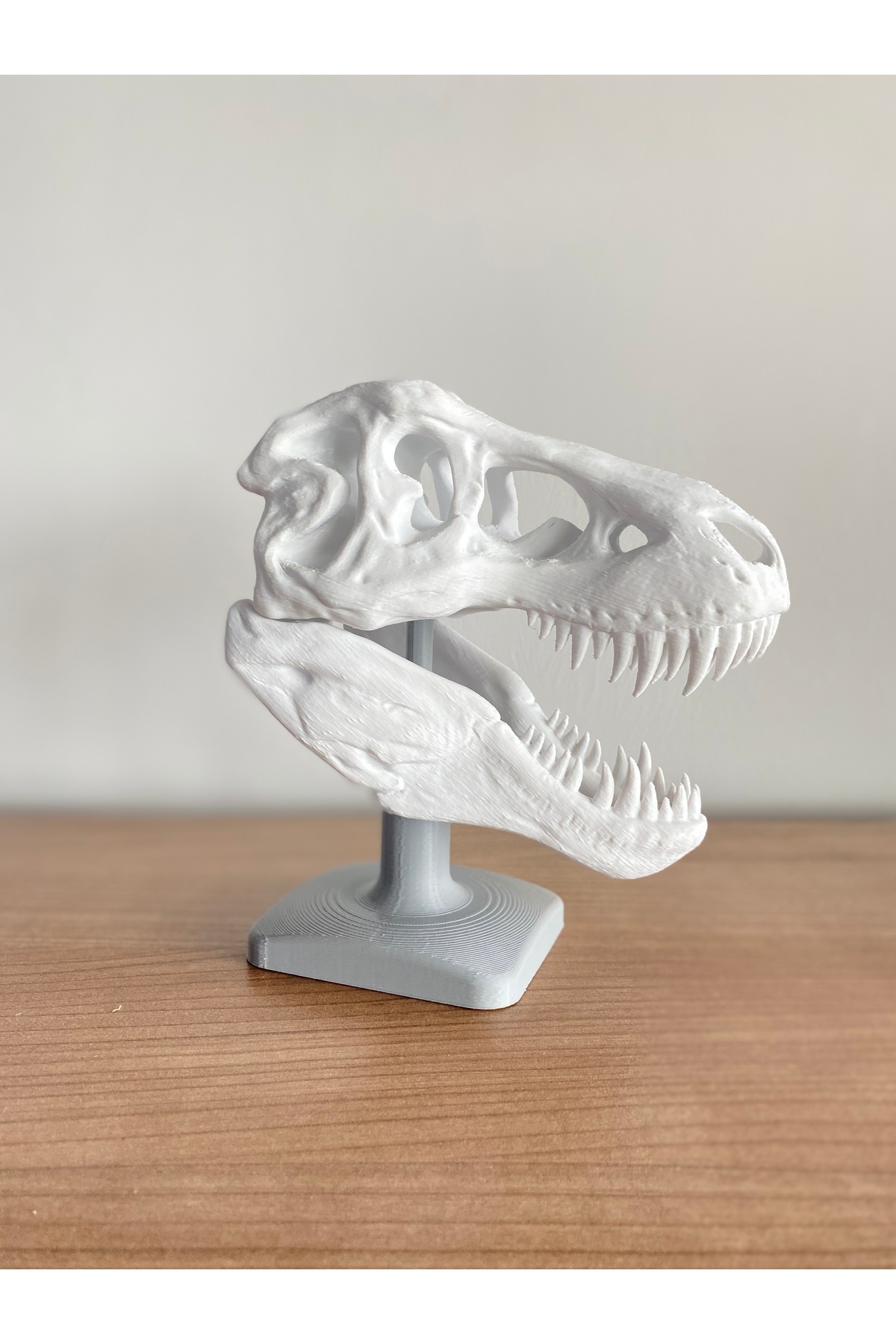 Root Made T-Rex Kafatası Tiranozor Büst Dekoratif Dinozor Stand