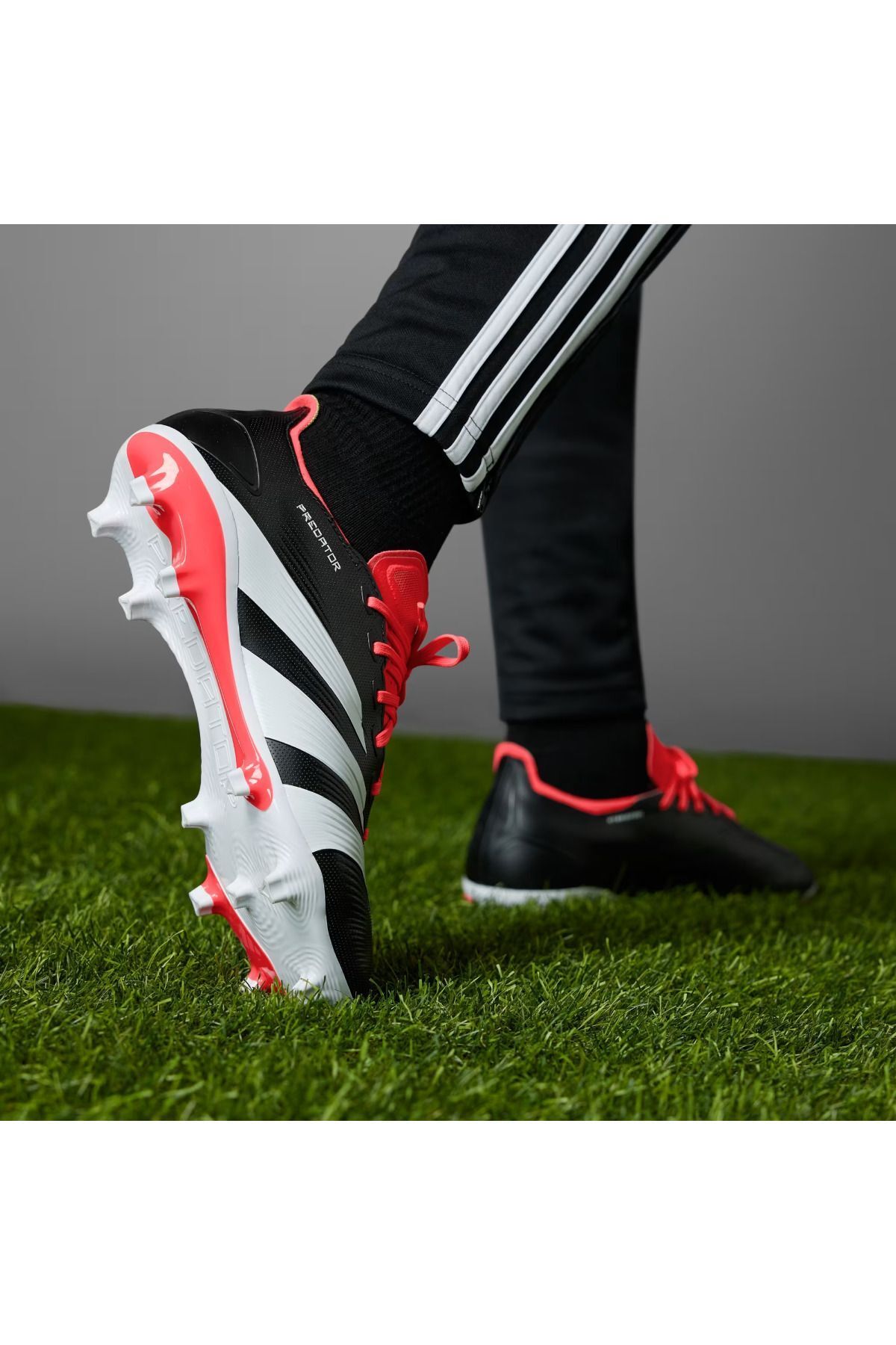 کرمپون چند رنگ مردانه و زنانه Predator League FG Crampon adidas