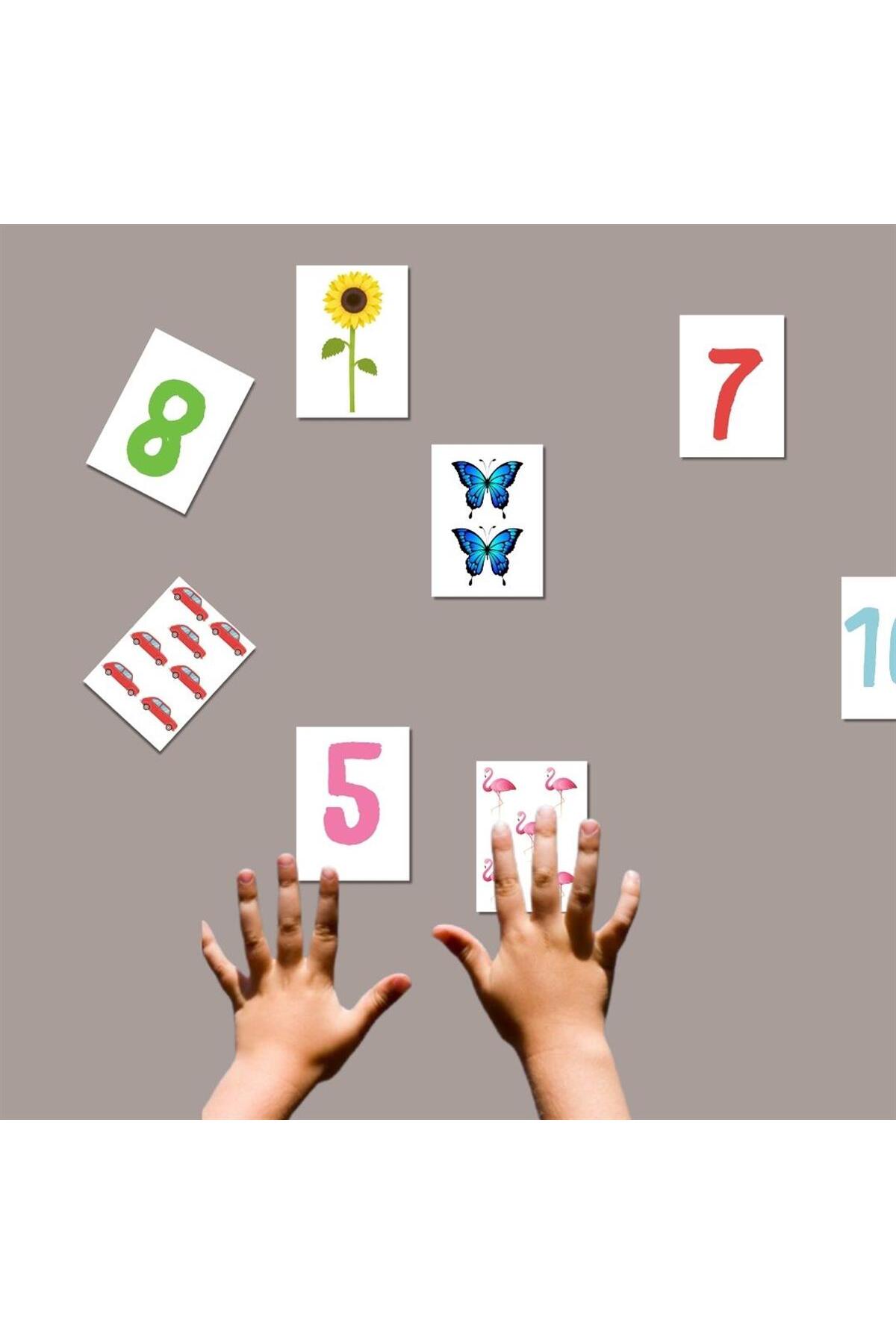 مطالب آموزشی پیش‌دبستانی – بازی جورکردنی کارتی هوش اعداد چوبی