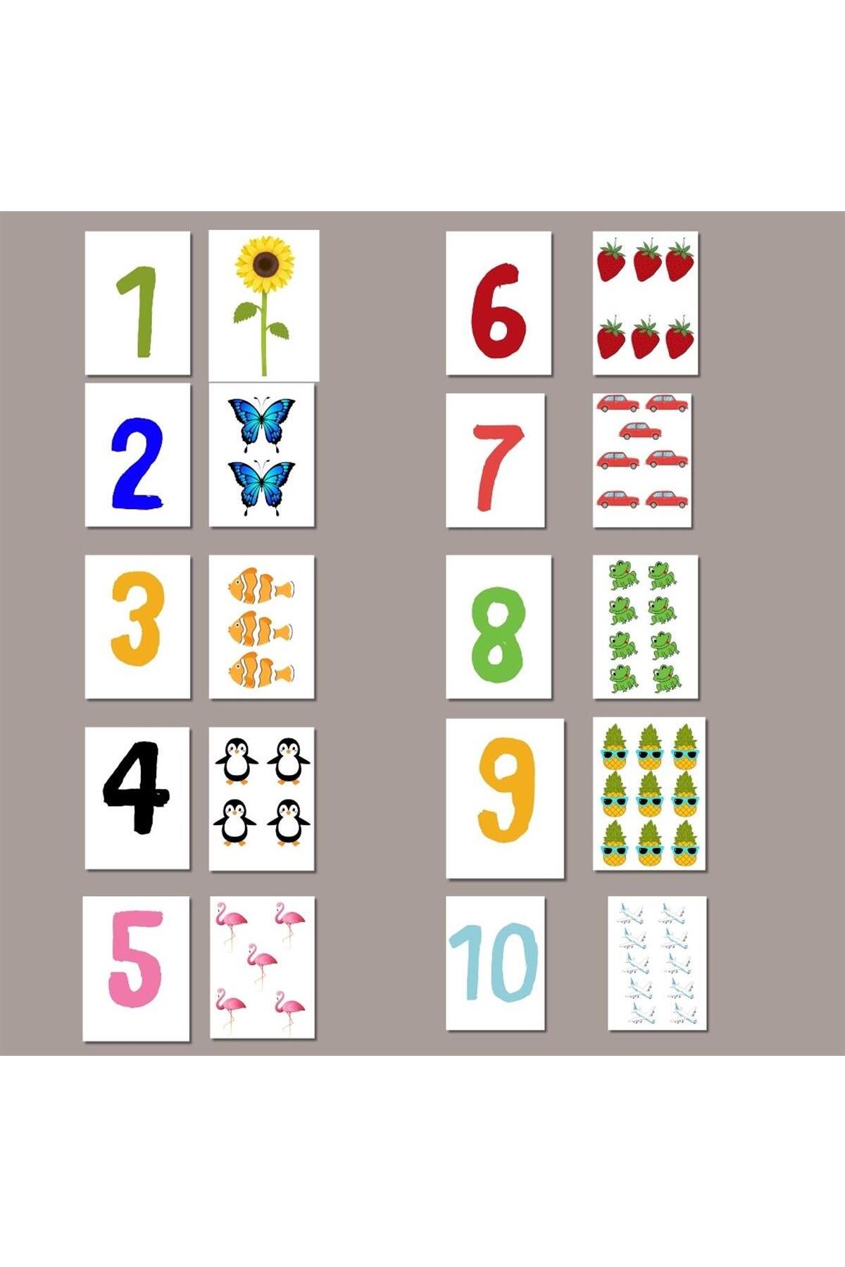 مطالب آموزشی پیش‌دبستانی – بازی جورکردنی کارتی هوش اعداد چوبی