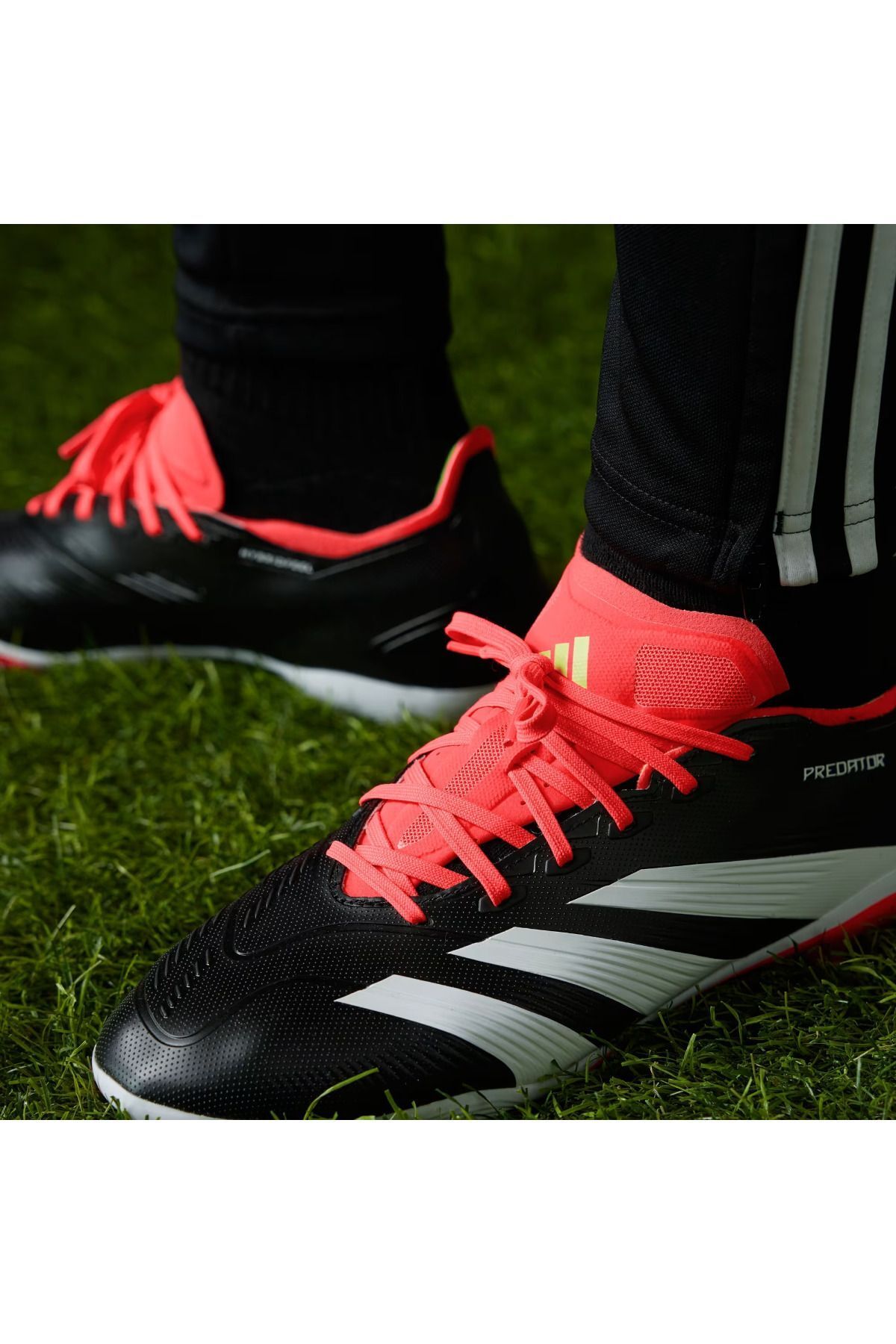 کرمپون چند رنگ مردانه و زنانه Predator League FG Crampon adidas
