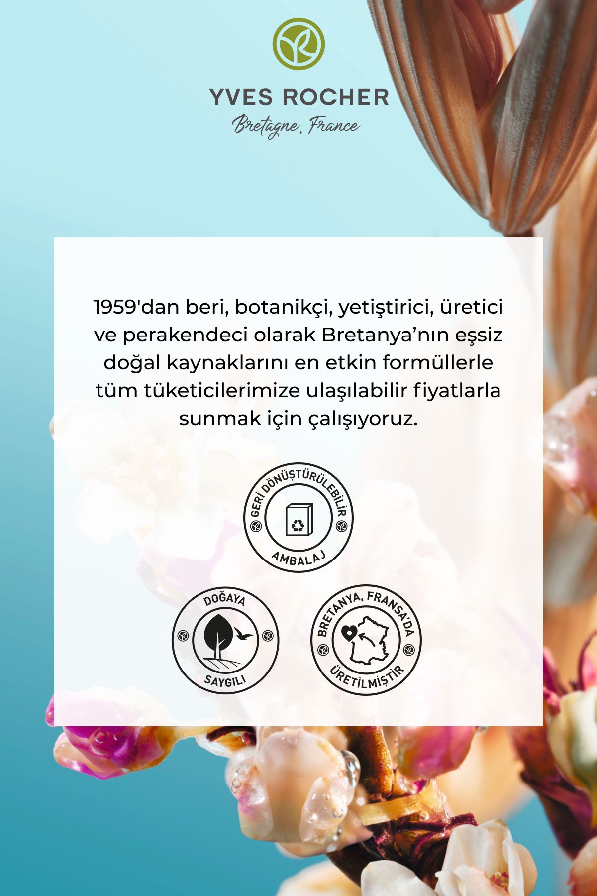 1 org zoom - ترند تهران
