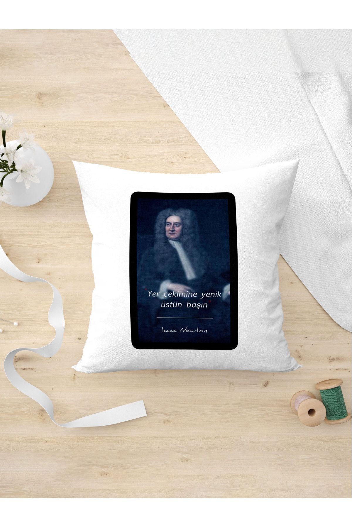 Panorama Ajans-Humorous Scientist Newton Gravity Special Design Pillow Case 1