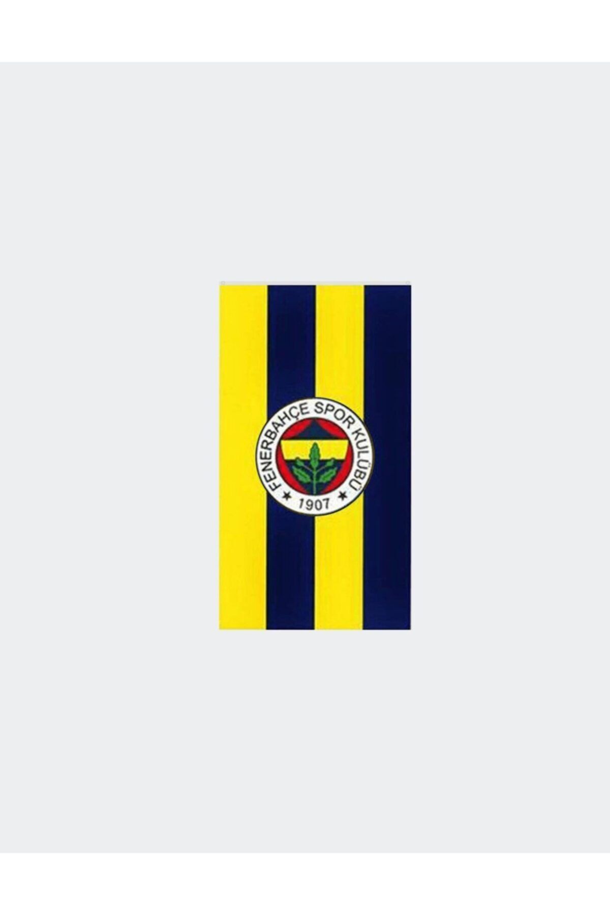 Fenerbahçe 90x135 Fb Logo Kongre Bayrak Fiyatı, Yorumları