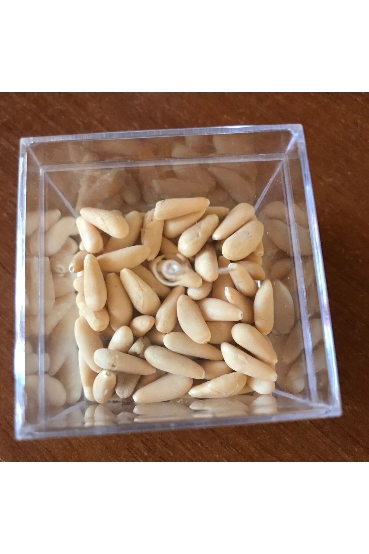 Aydın Naturel Bahçe Çam fıstığı yerli 50 gram