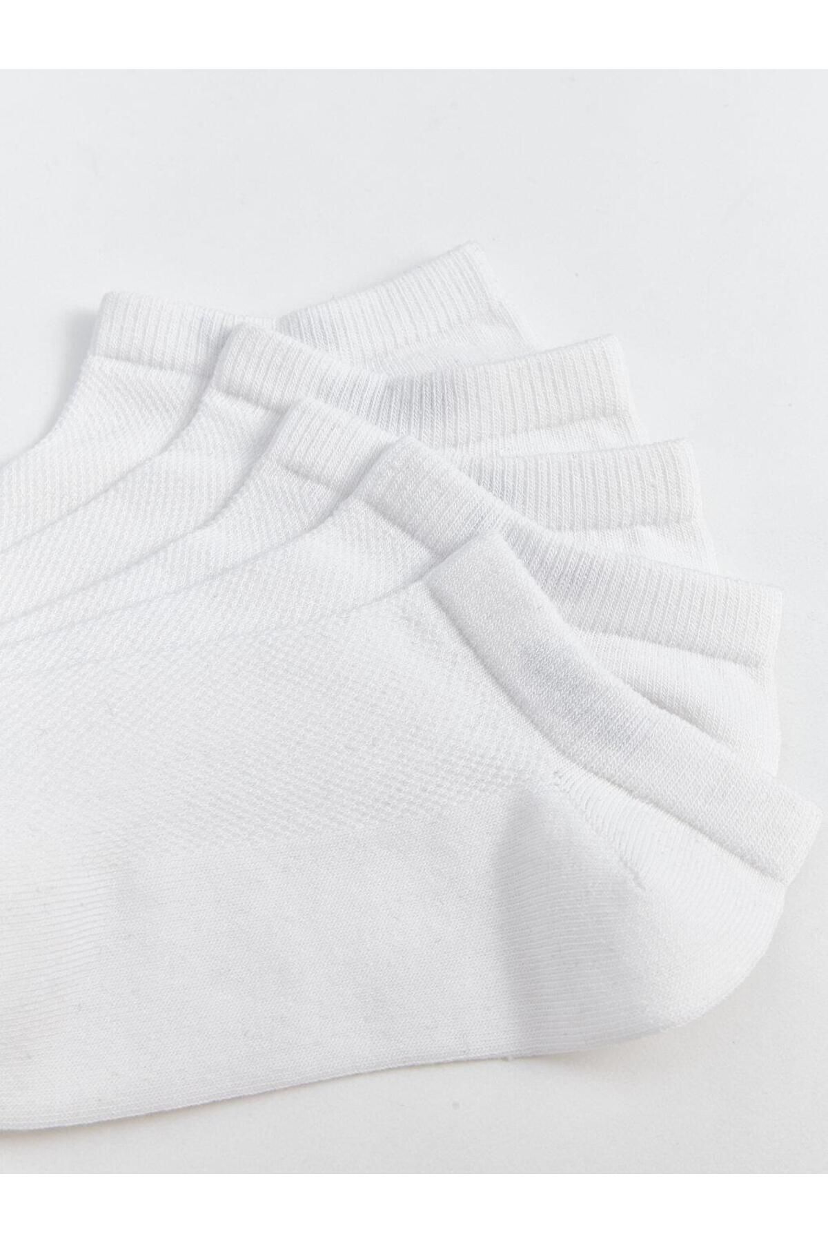 LC Waikiki-CRPP - Set of 5 K-WhitePike 3