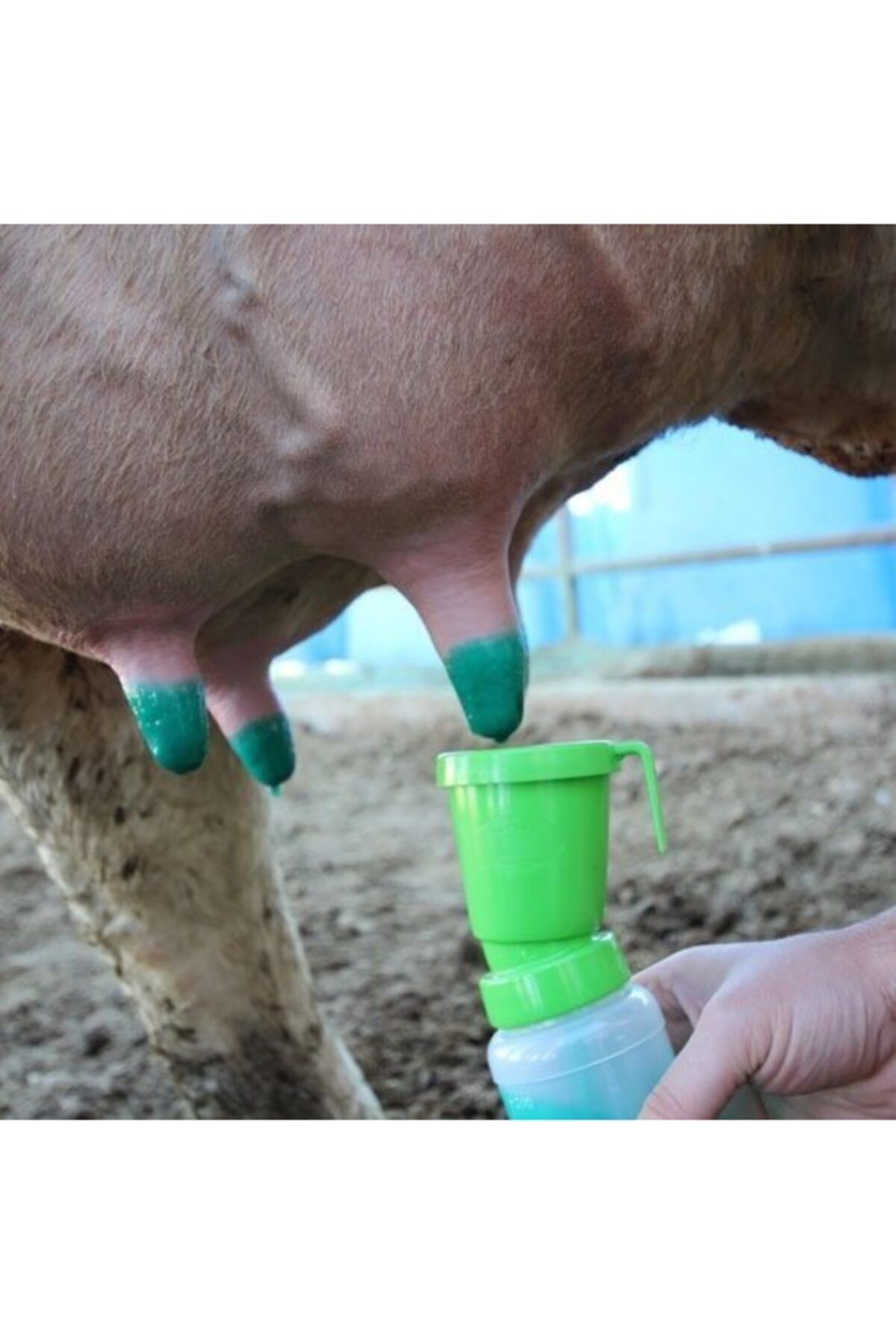 Masdisin Herbafilm 5 Litre 4