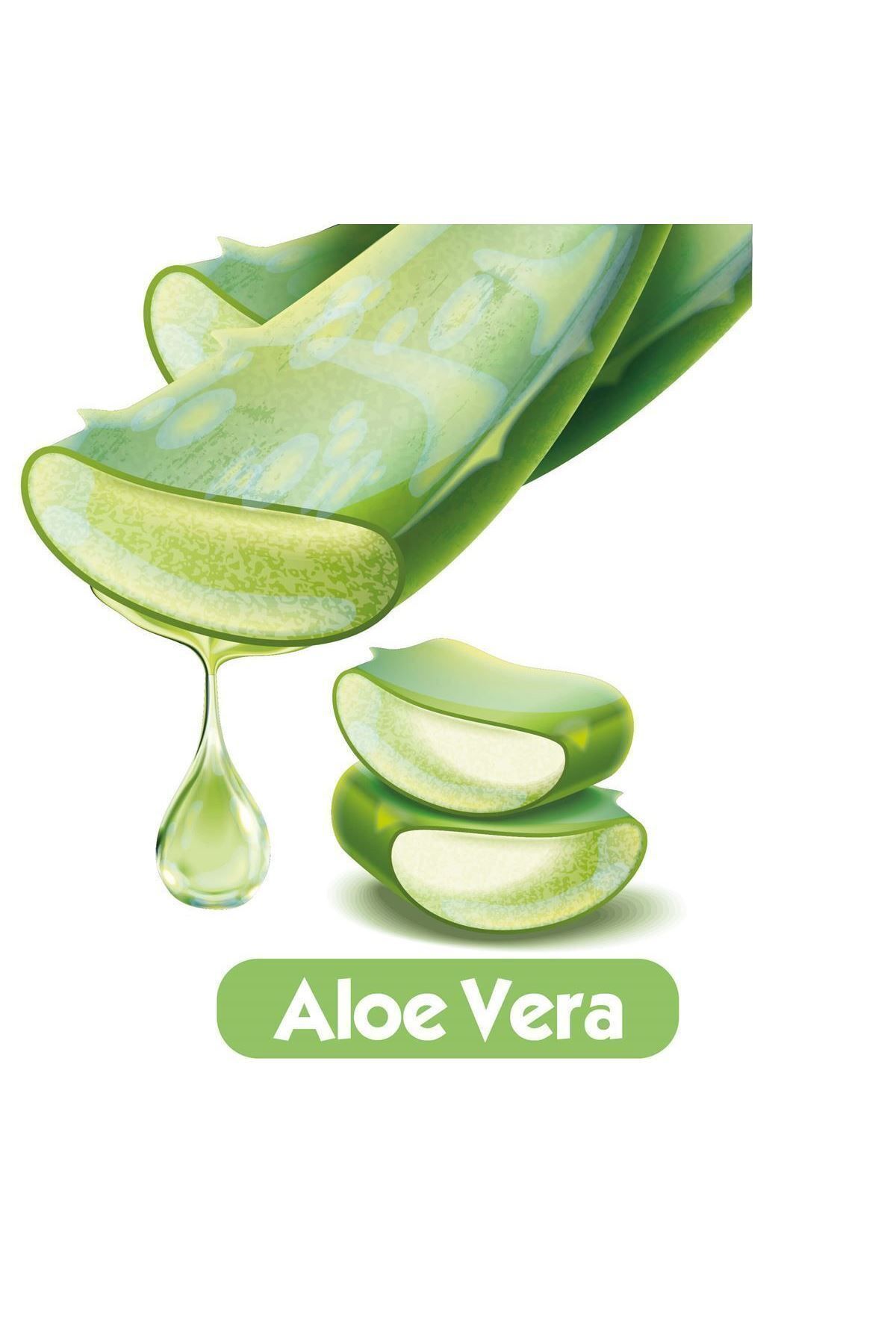 Softcare Aloe Vera Islak Bebek Havlusu 12x90 Yaprak