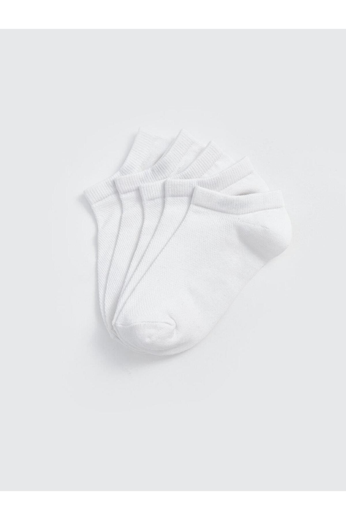 LC Waikiki-CRPP - Set of 5 K-WhitePike 2