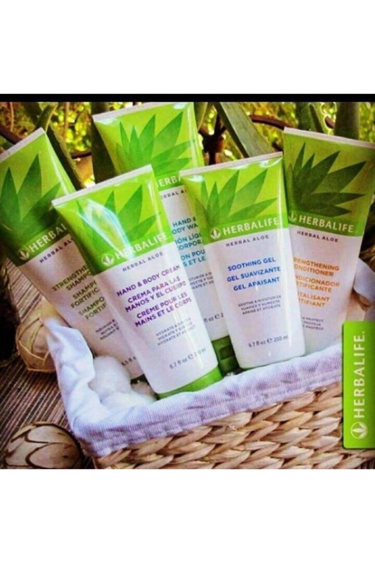 Herbalife-200 ml Herbal Aloe Hand and Body Lotion 4